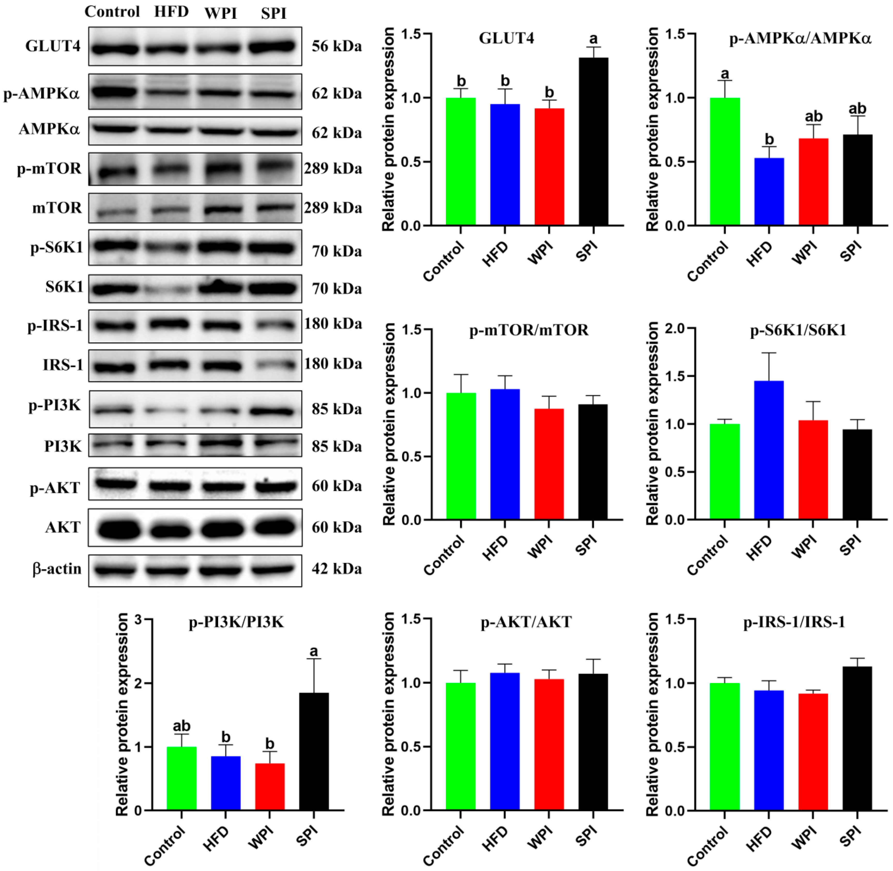 Nutrients 17 03427 g010