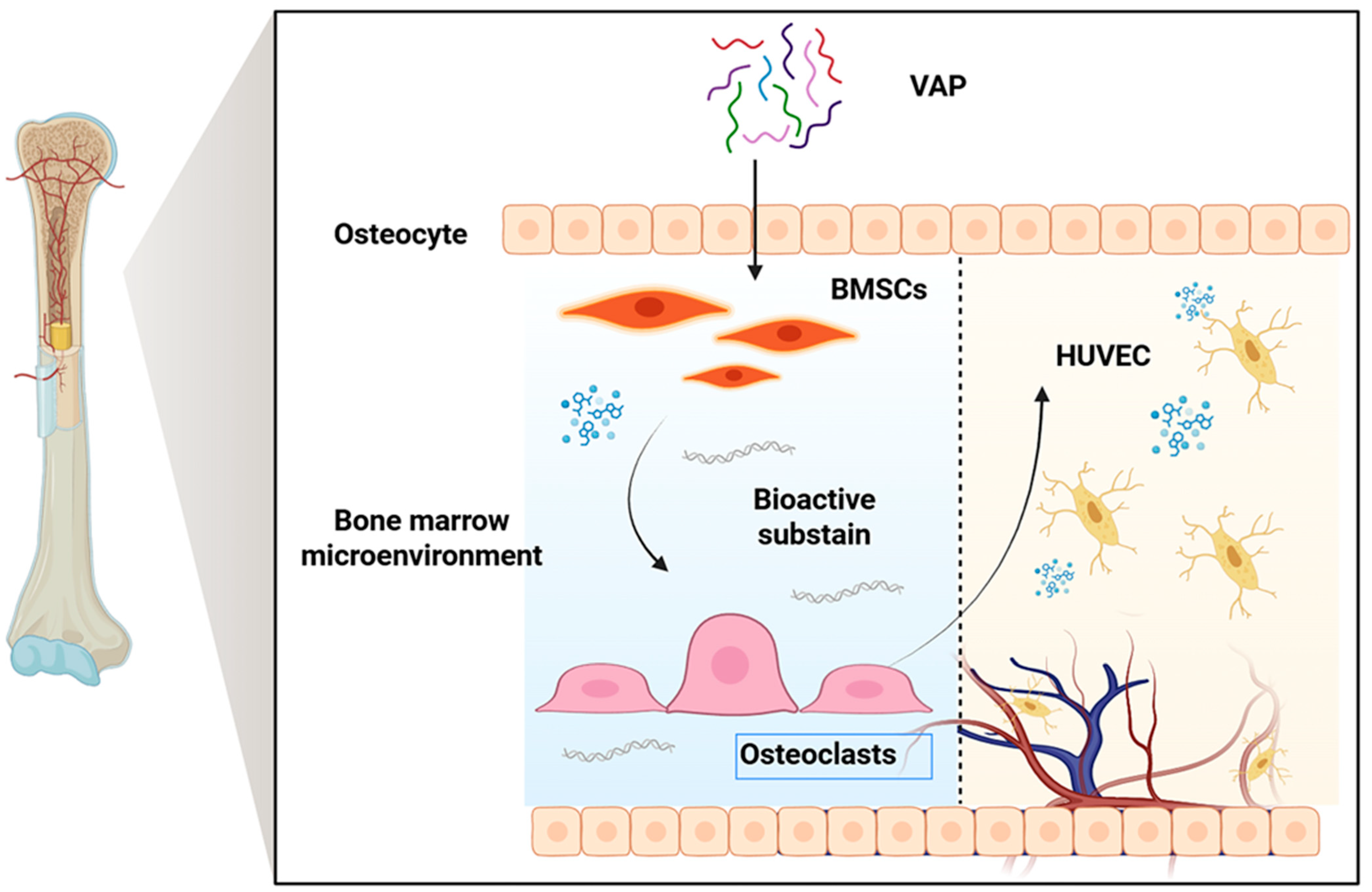 Nutrients 17 03428 g001