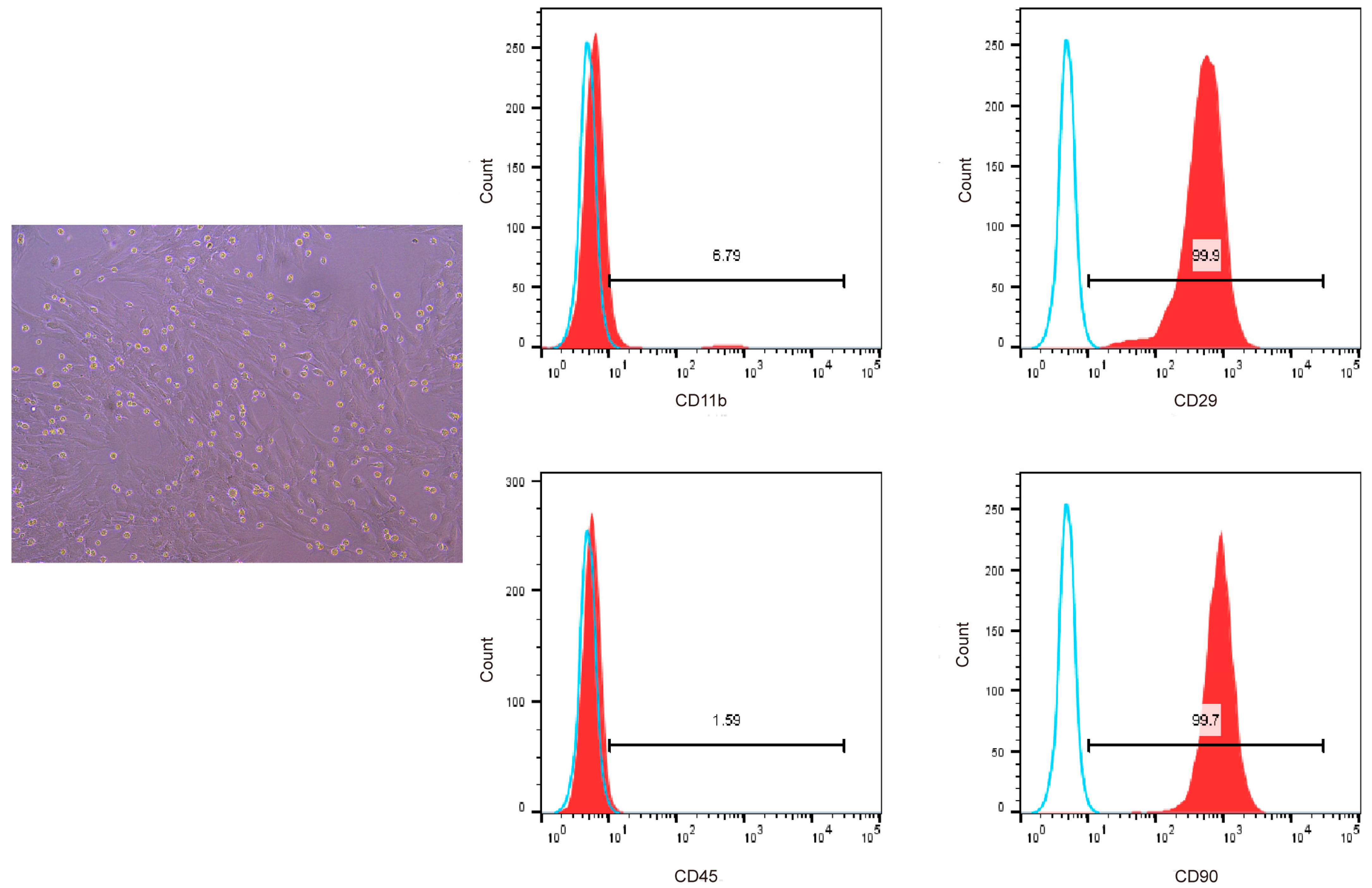 Nutrients 17 03428 g003