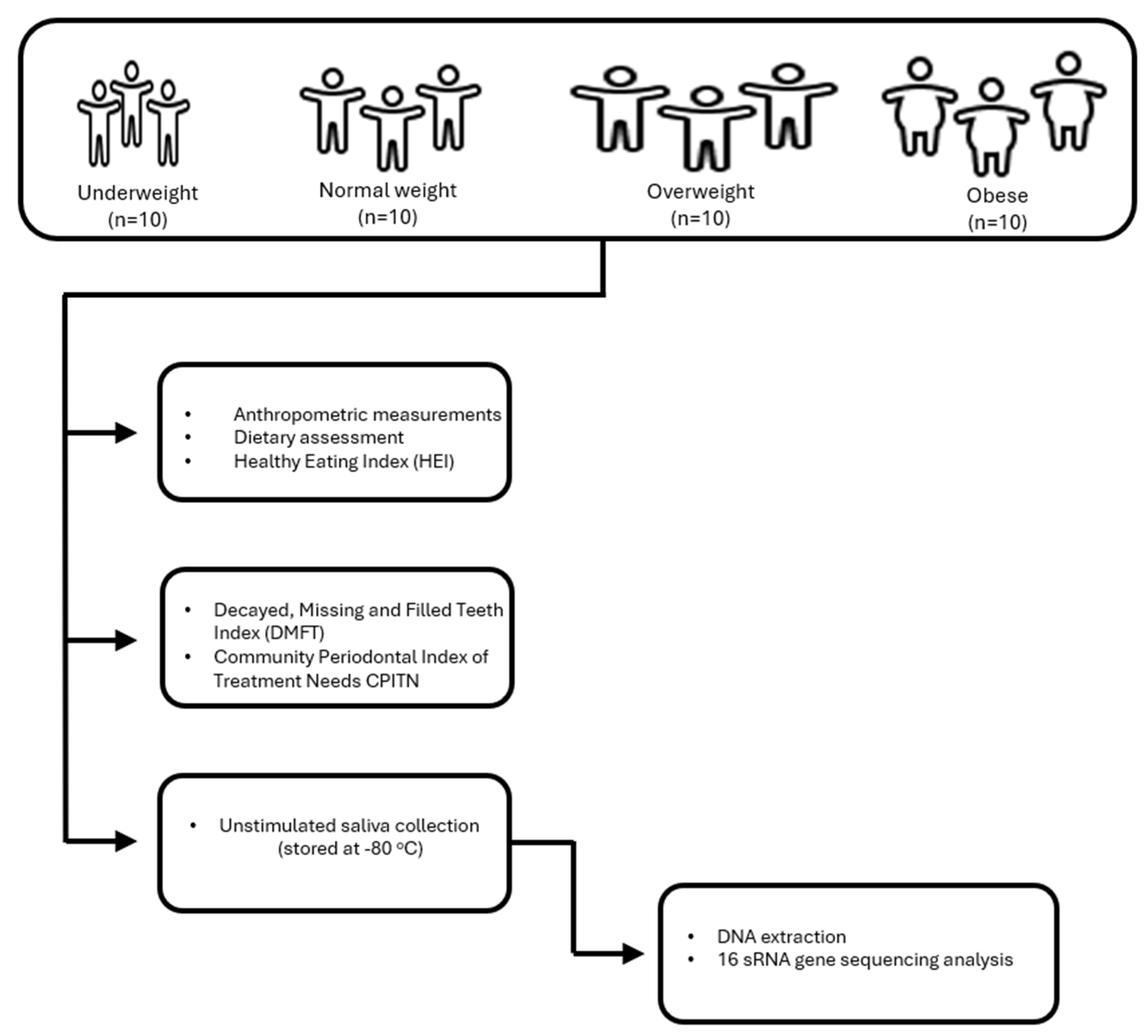 Nutrients 17 03434 g001