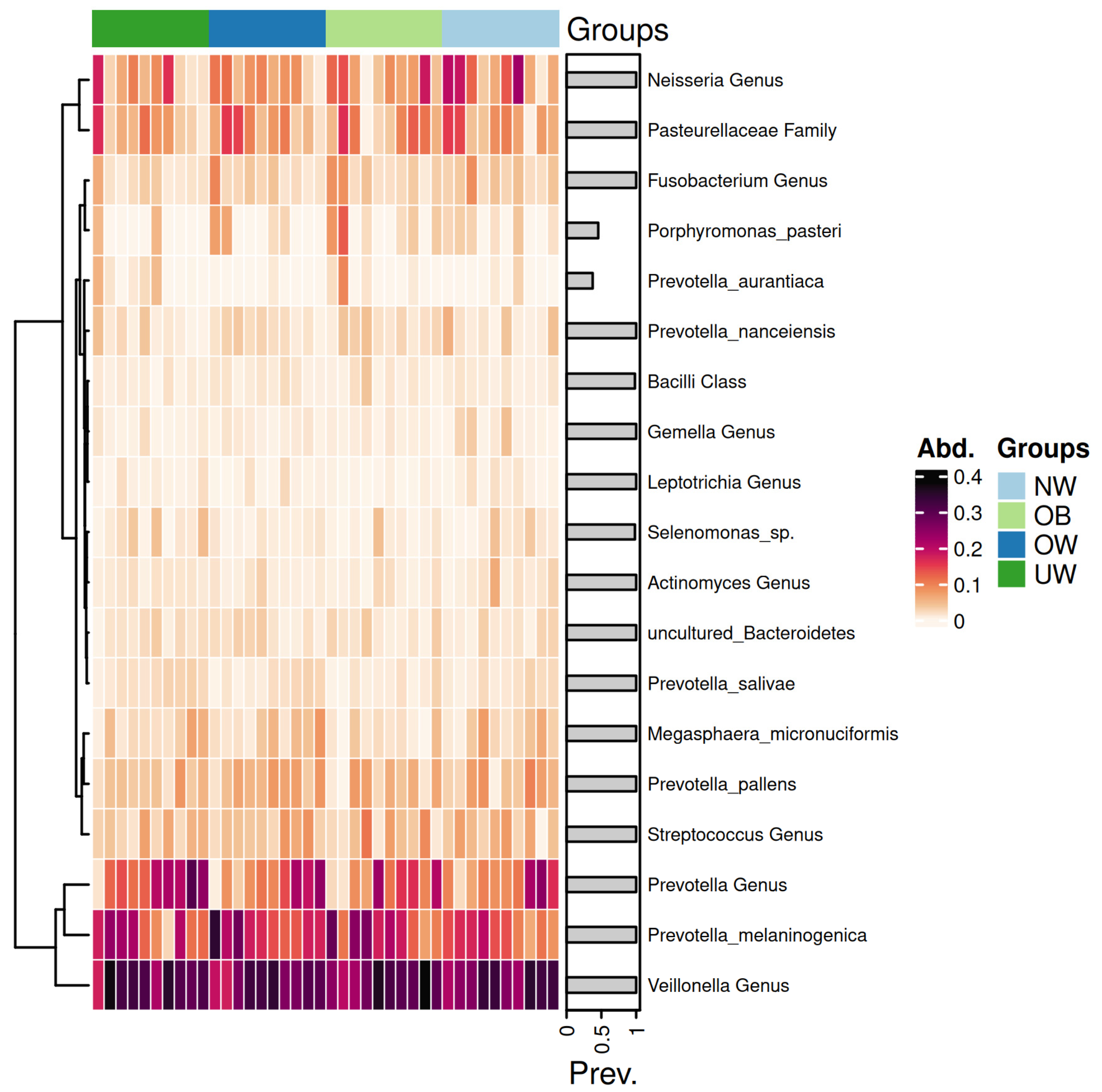 Nutrients 17 03434 g007