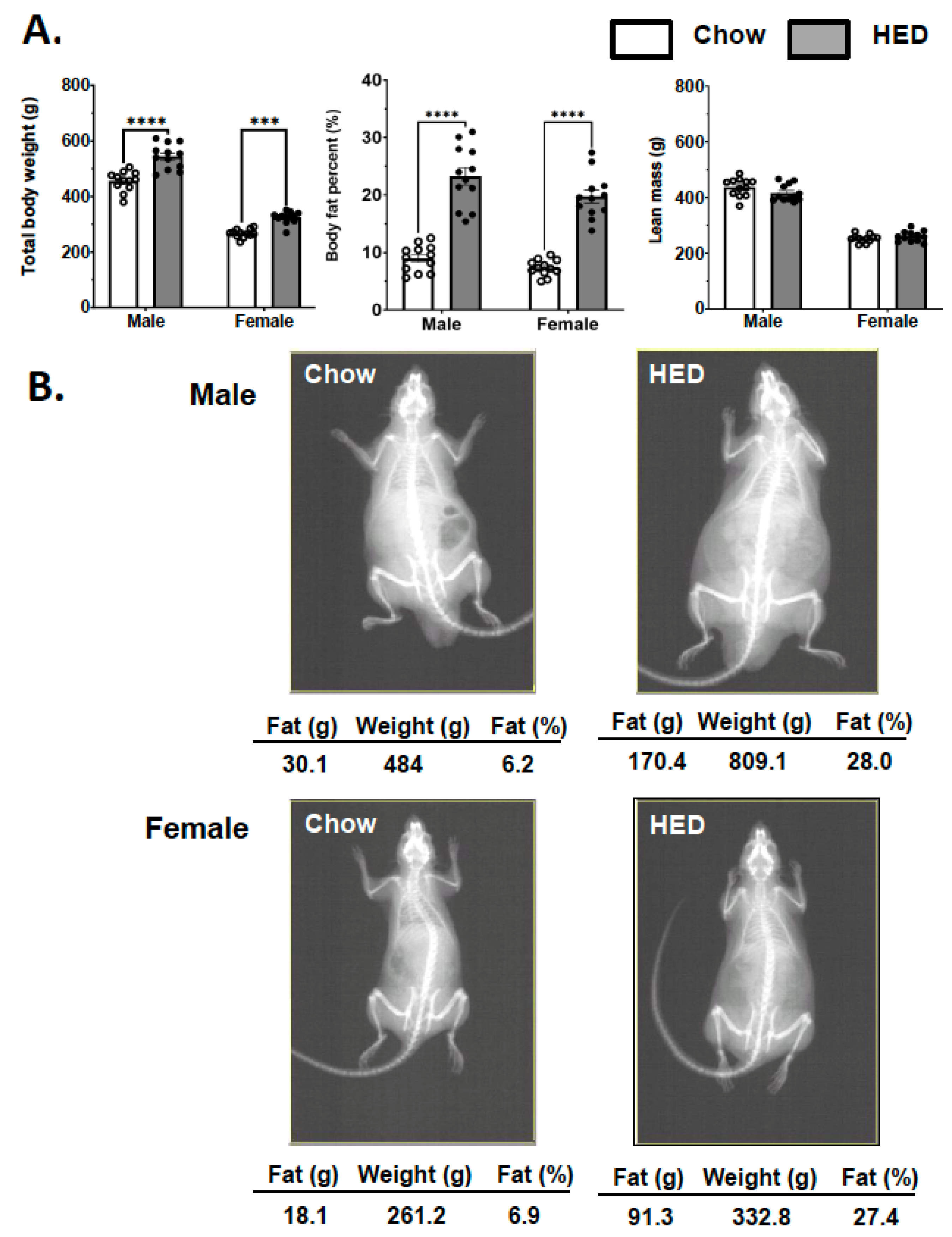 Nutrients 17 03445 g001 Nutrients 17 03445 g001