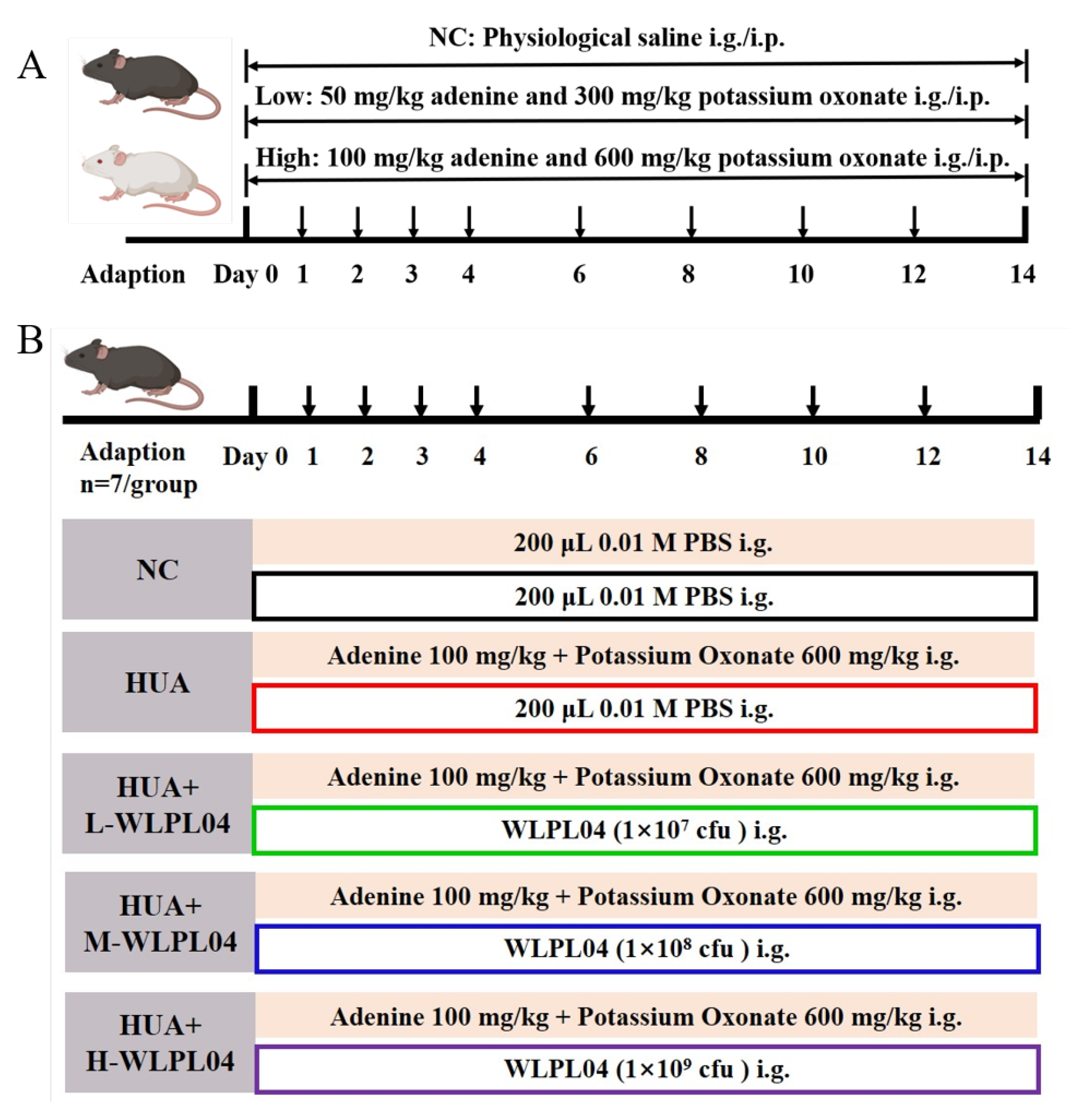 Nutrients 17 03447 g001