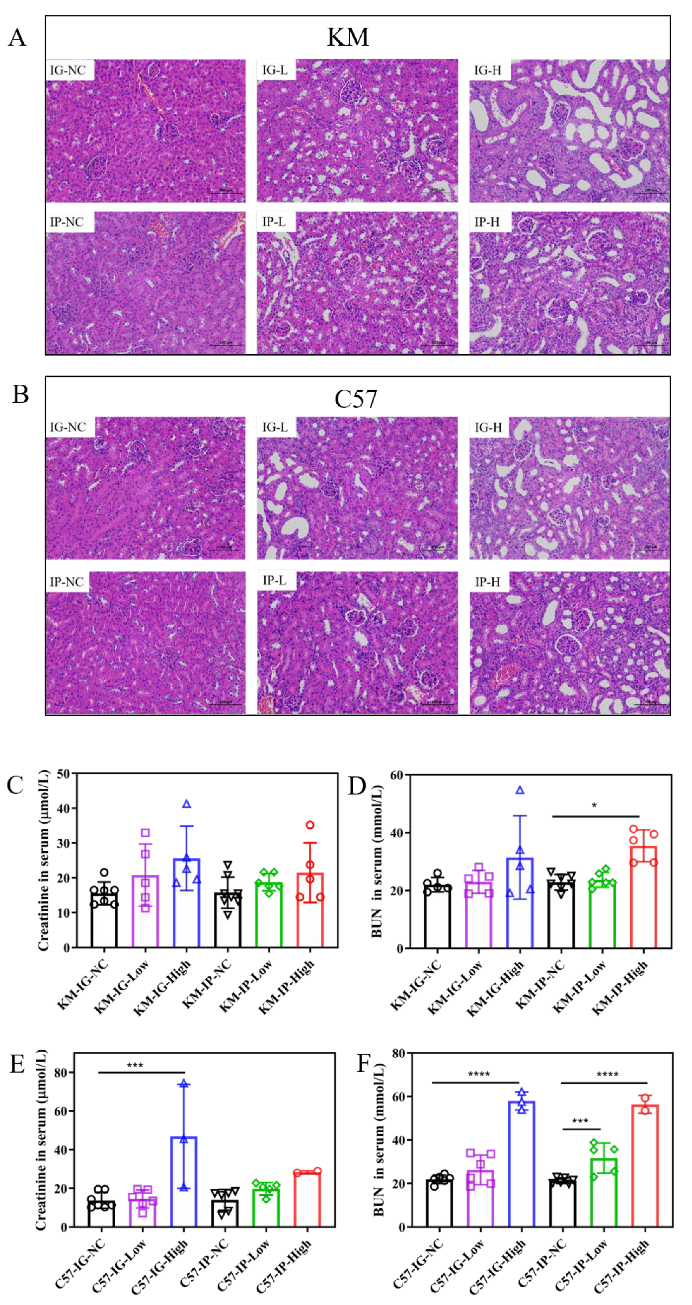 Nutrients 17 03447 g003