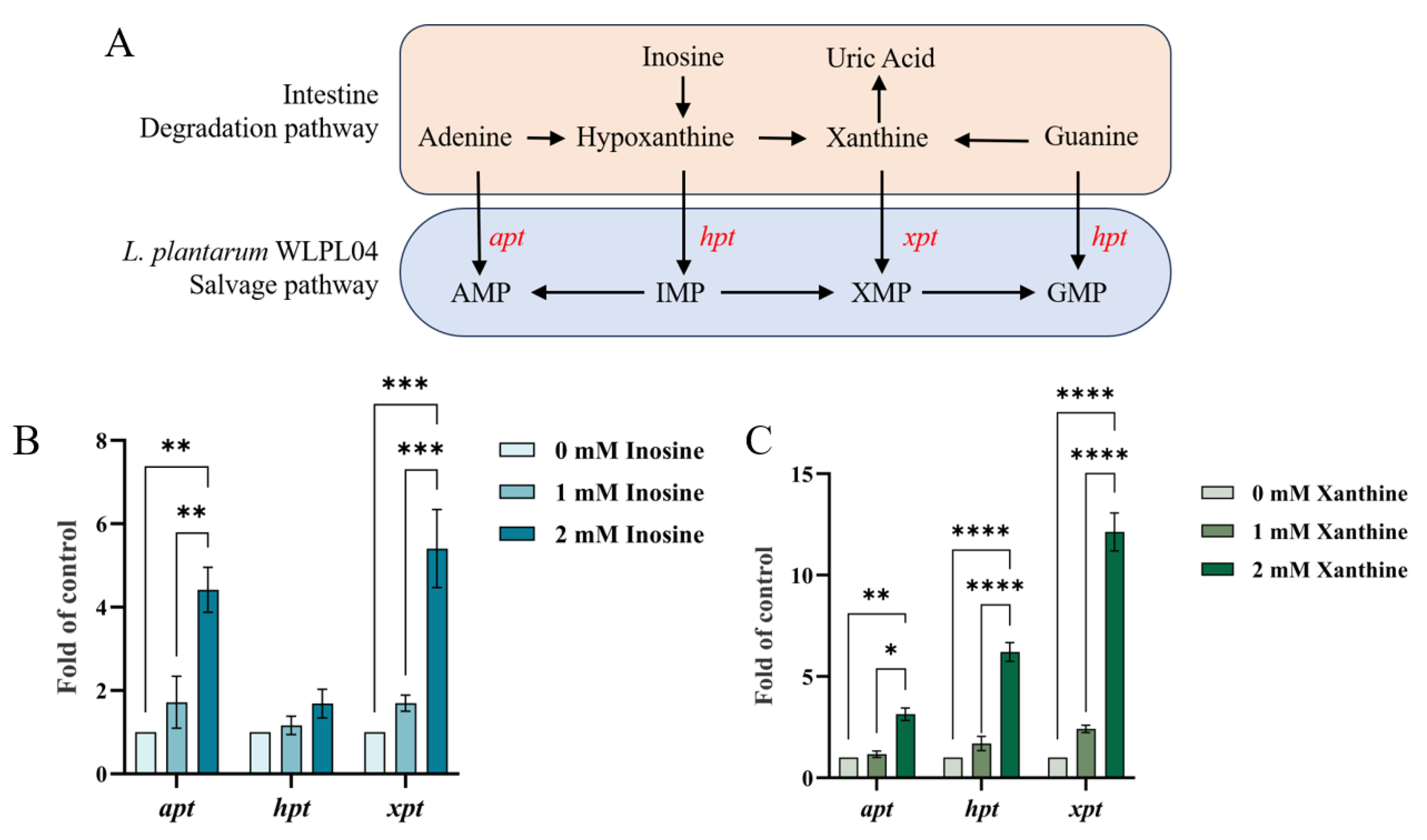 Nutrients 17 03447 g004