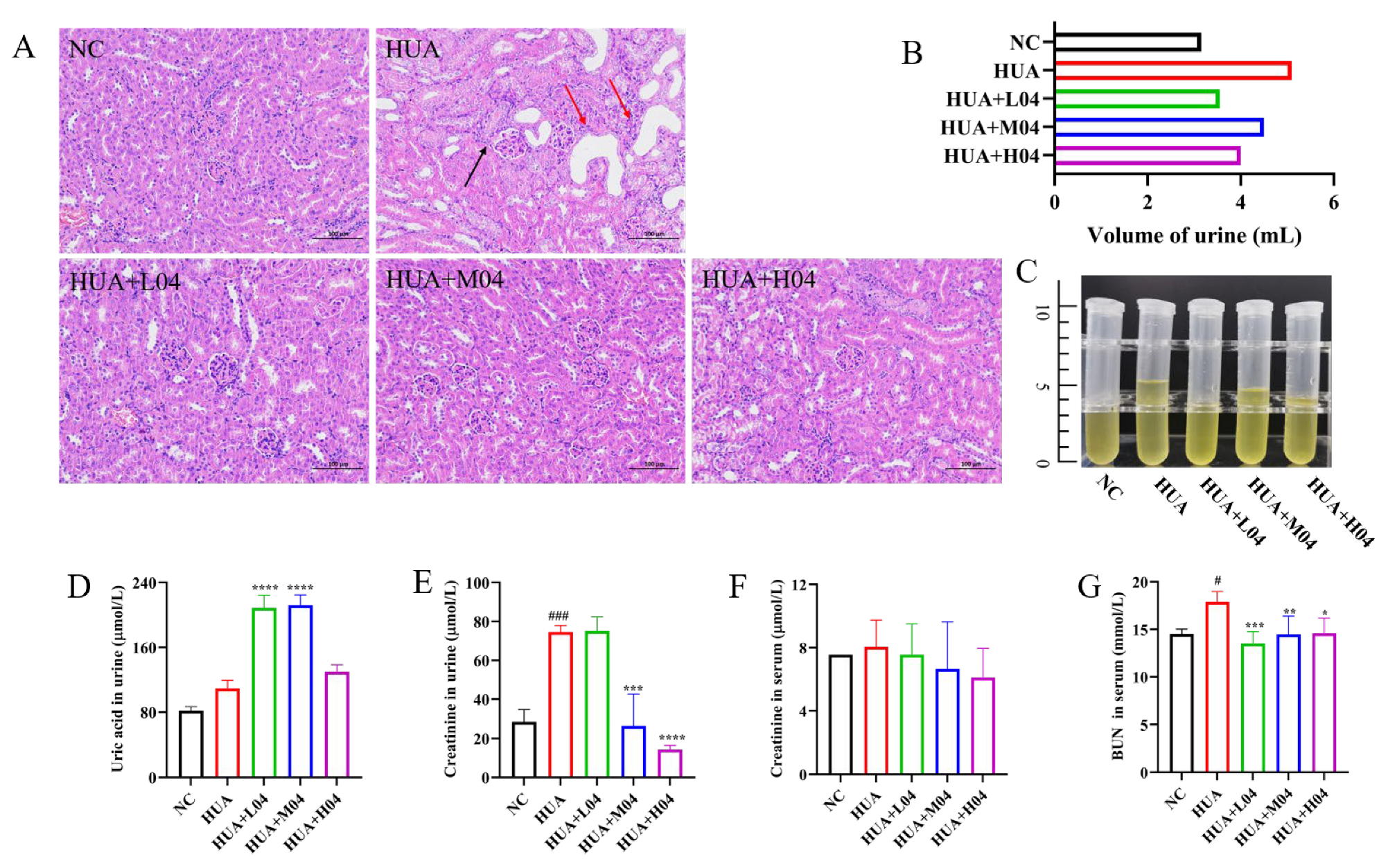 Nutrients 17 03447 g006