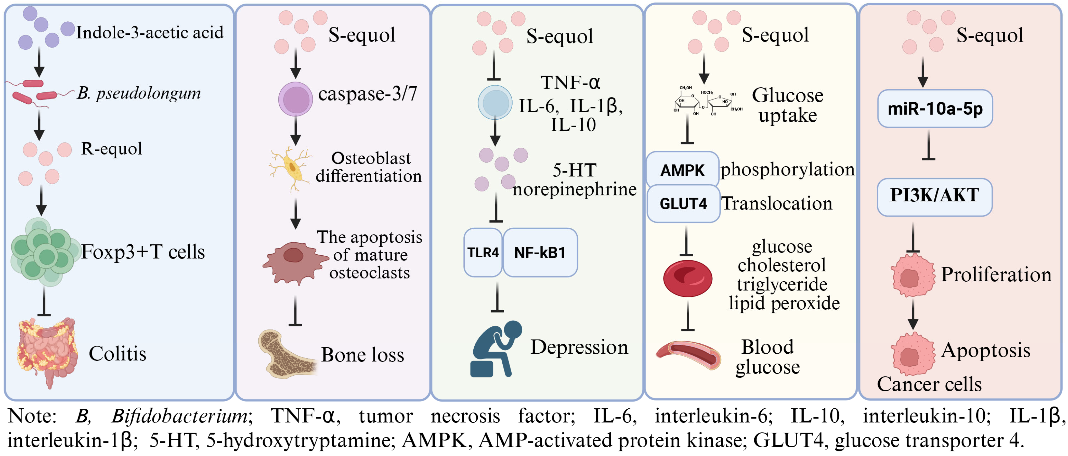Nutrients 17 03449 g001