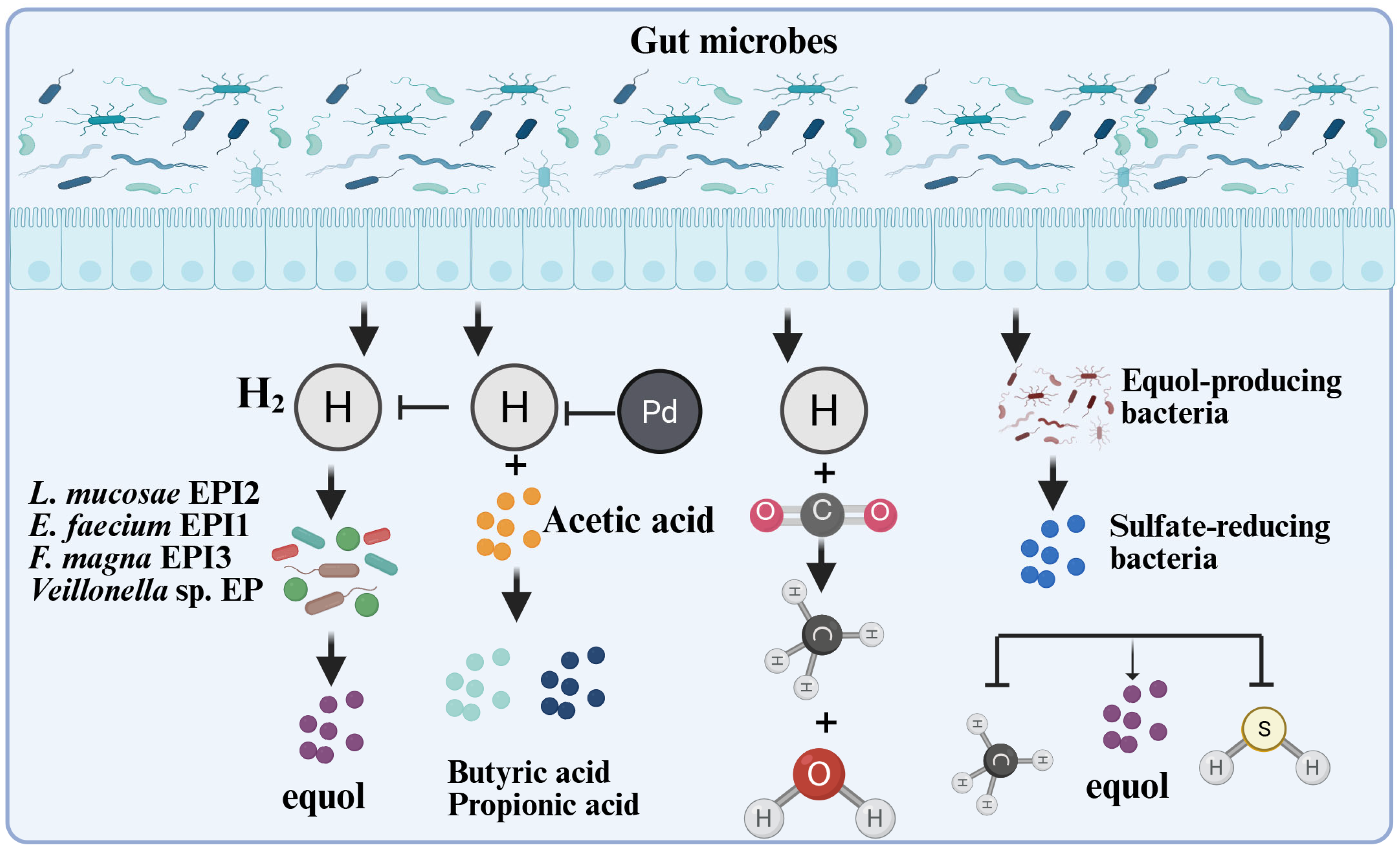 Nutrients 17 03449 g004