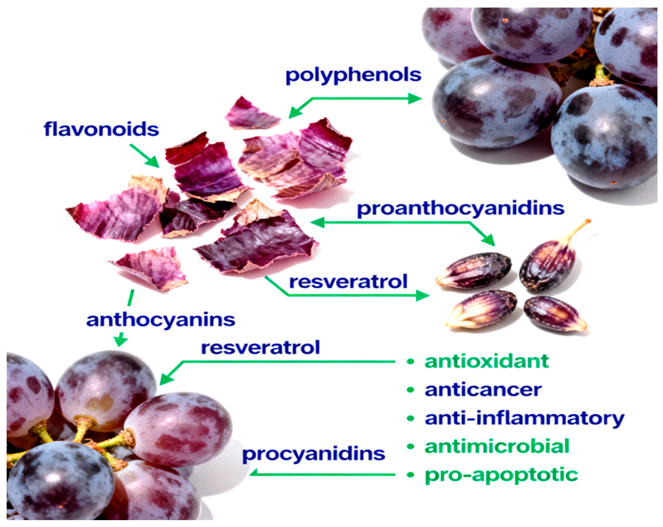 Nutrients 17 03450 g001 Nutrients 17 03450 g001
