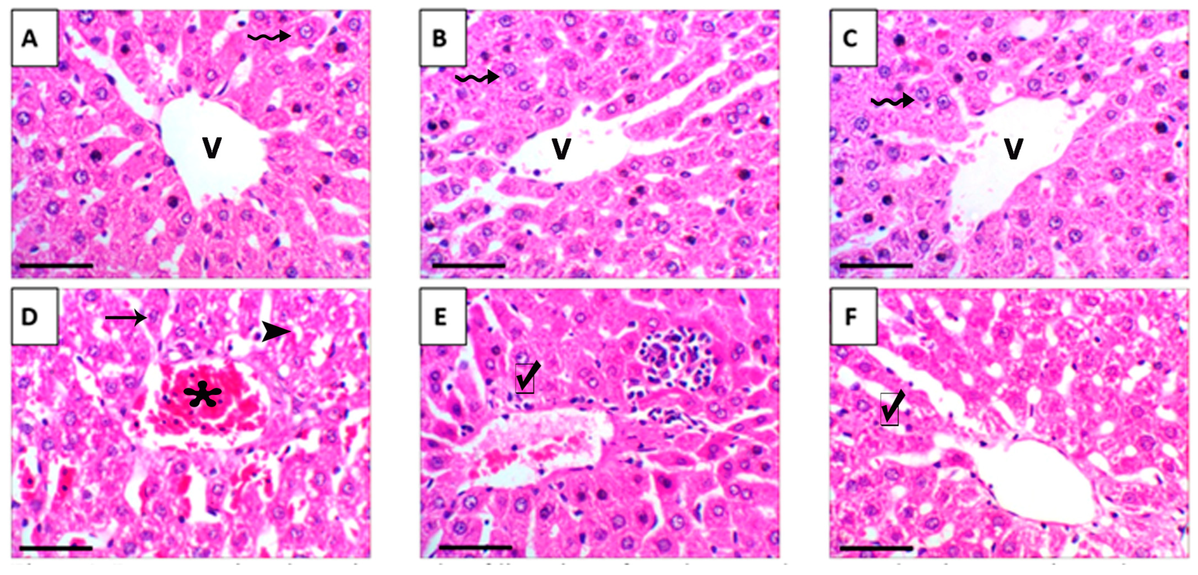 Nutrients 17 03450 g011 Nutrients 17 03450 g011