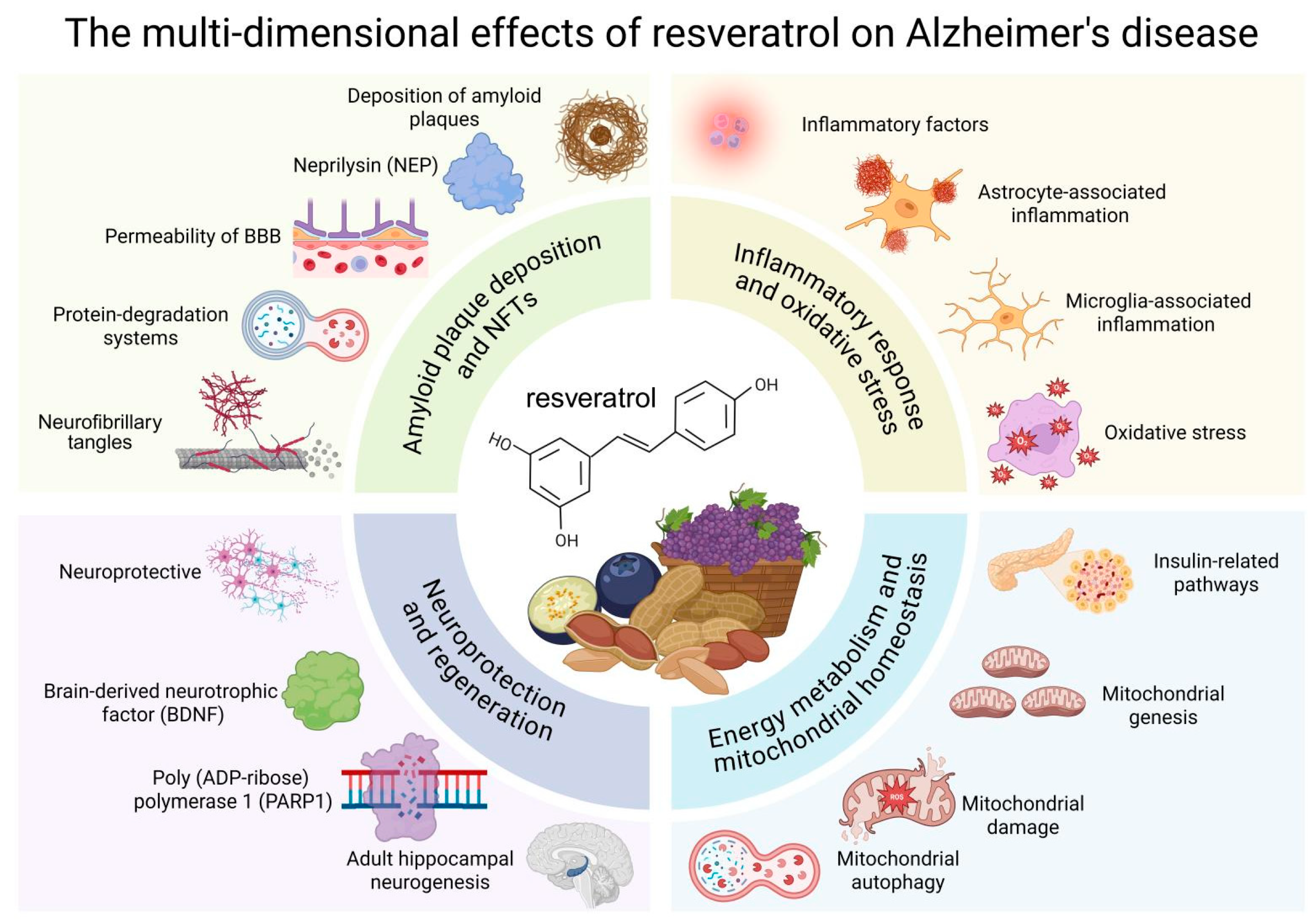 Nutrients 17 03451 g005