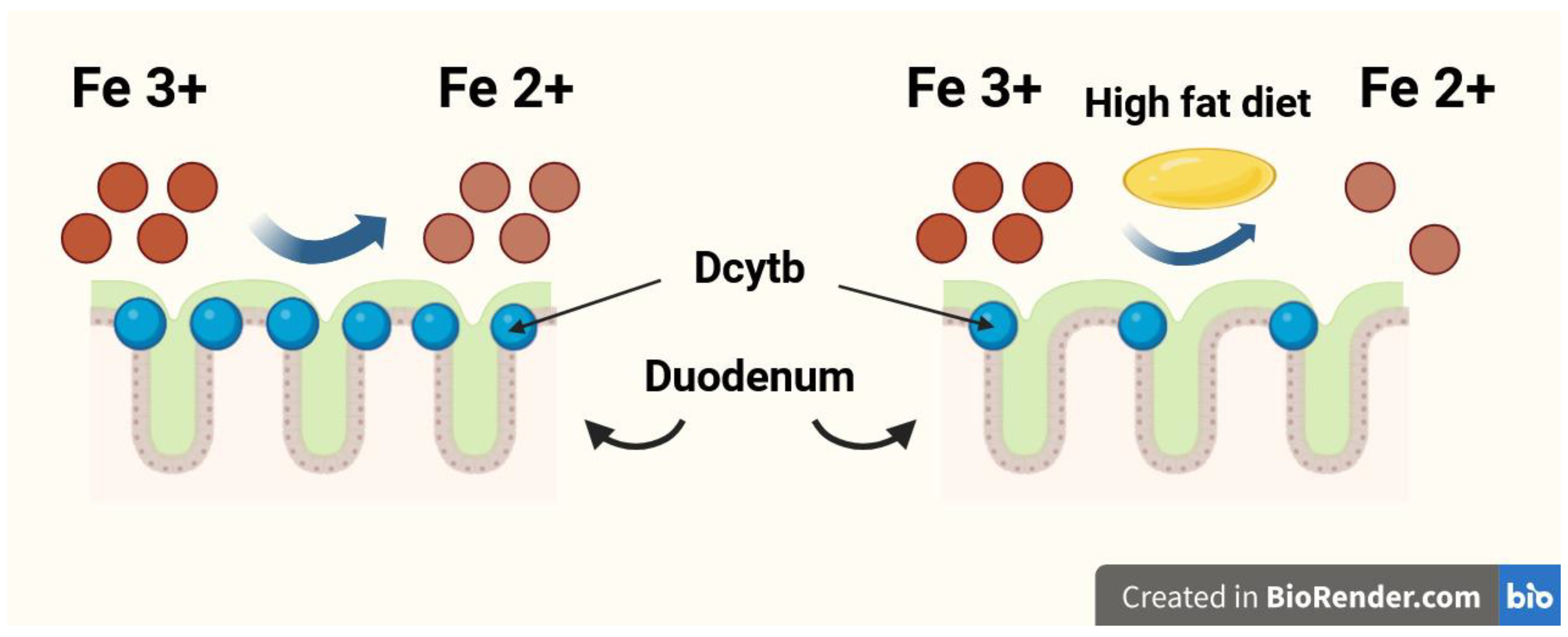 Nutrients 17 03454 g001