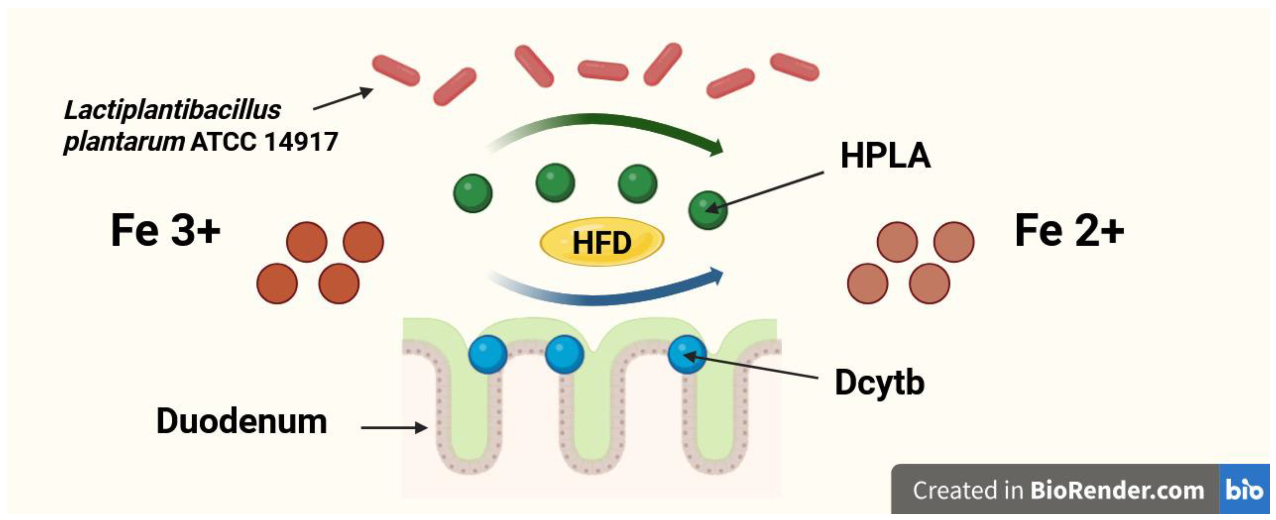 Nutrients 17 03454 g002