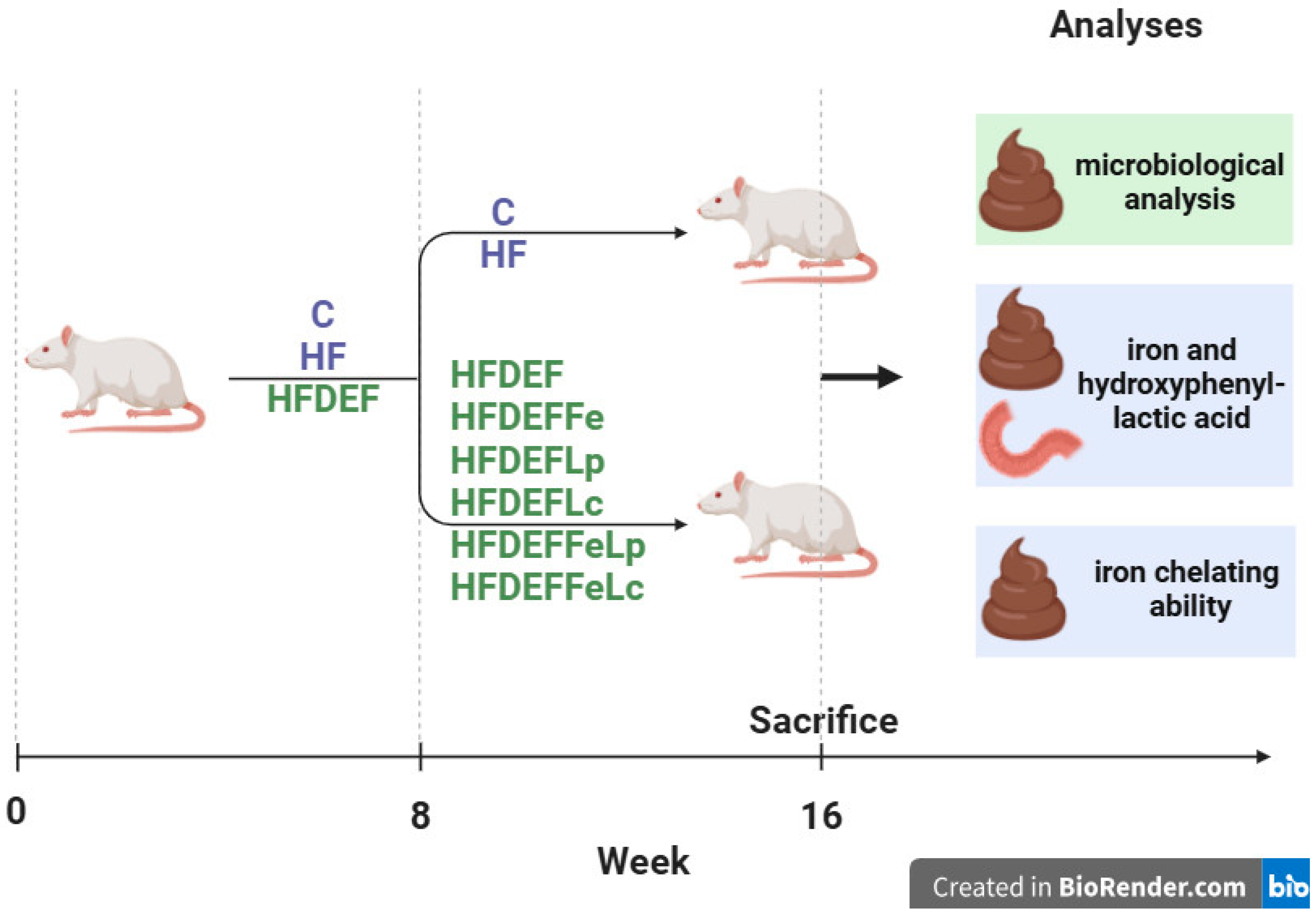 Nutrients 17 03454 g003