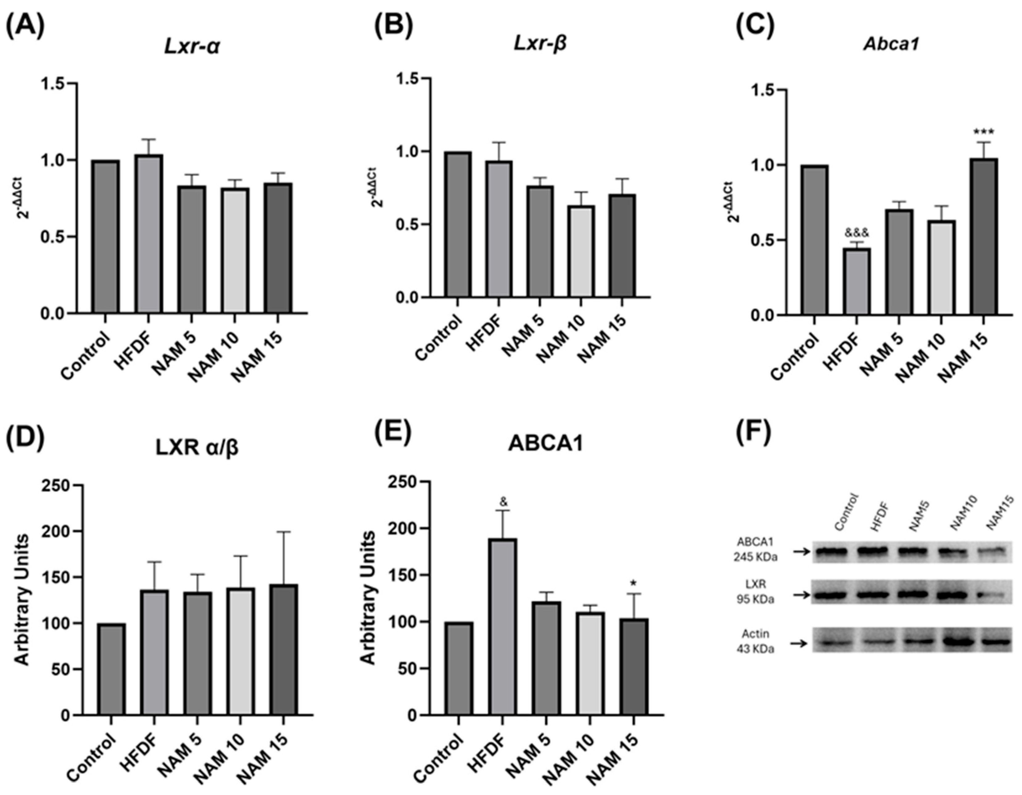 Nutrients 17 03458 g003 Nutrients 17 03458 g003