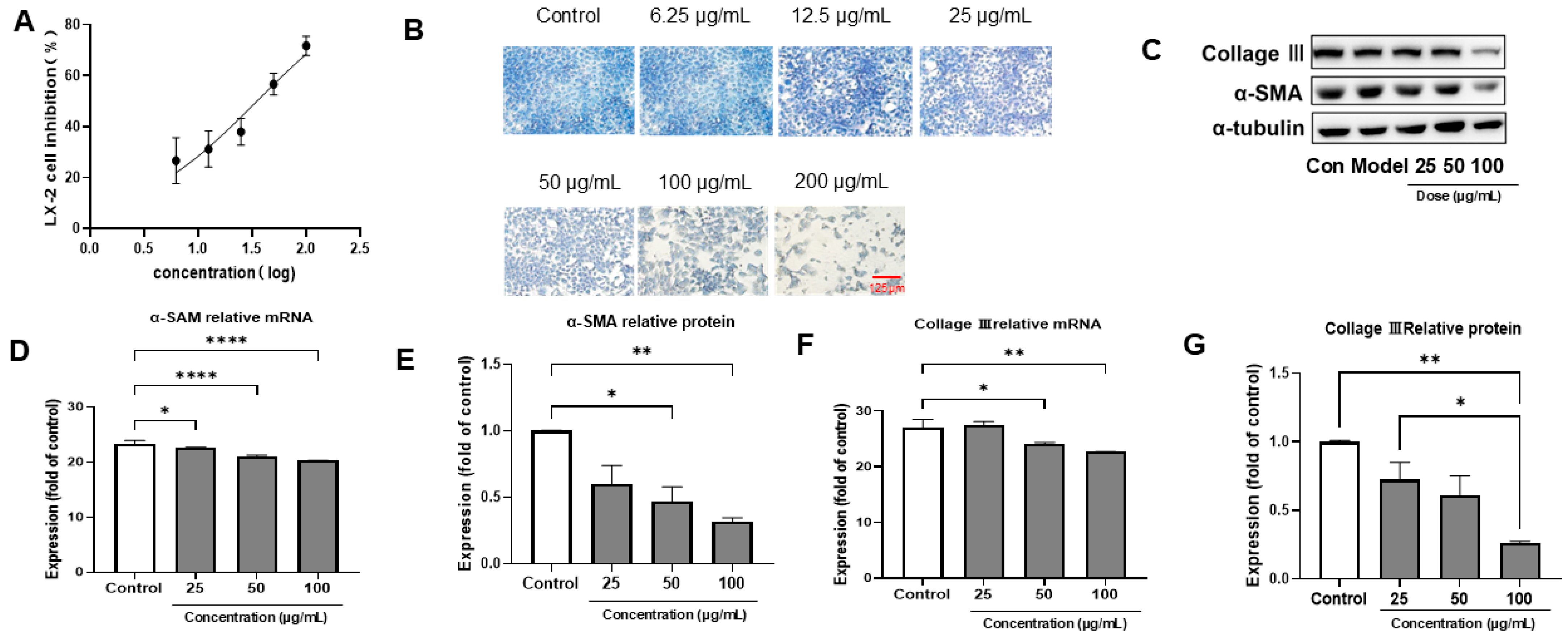 Nutrients 17 03463 g001 Nutrients 17 03463 g001