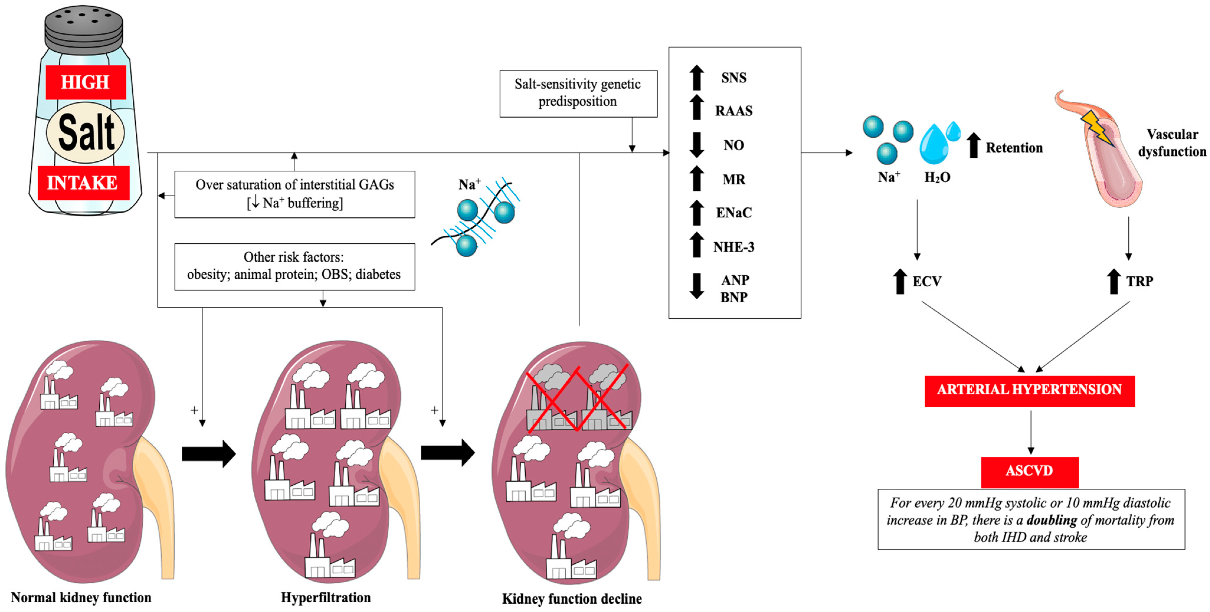 Nutrients 17 03464 g001 Nutrients 17 03464 g001
