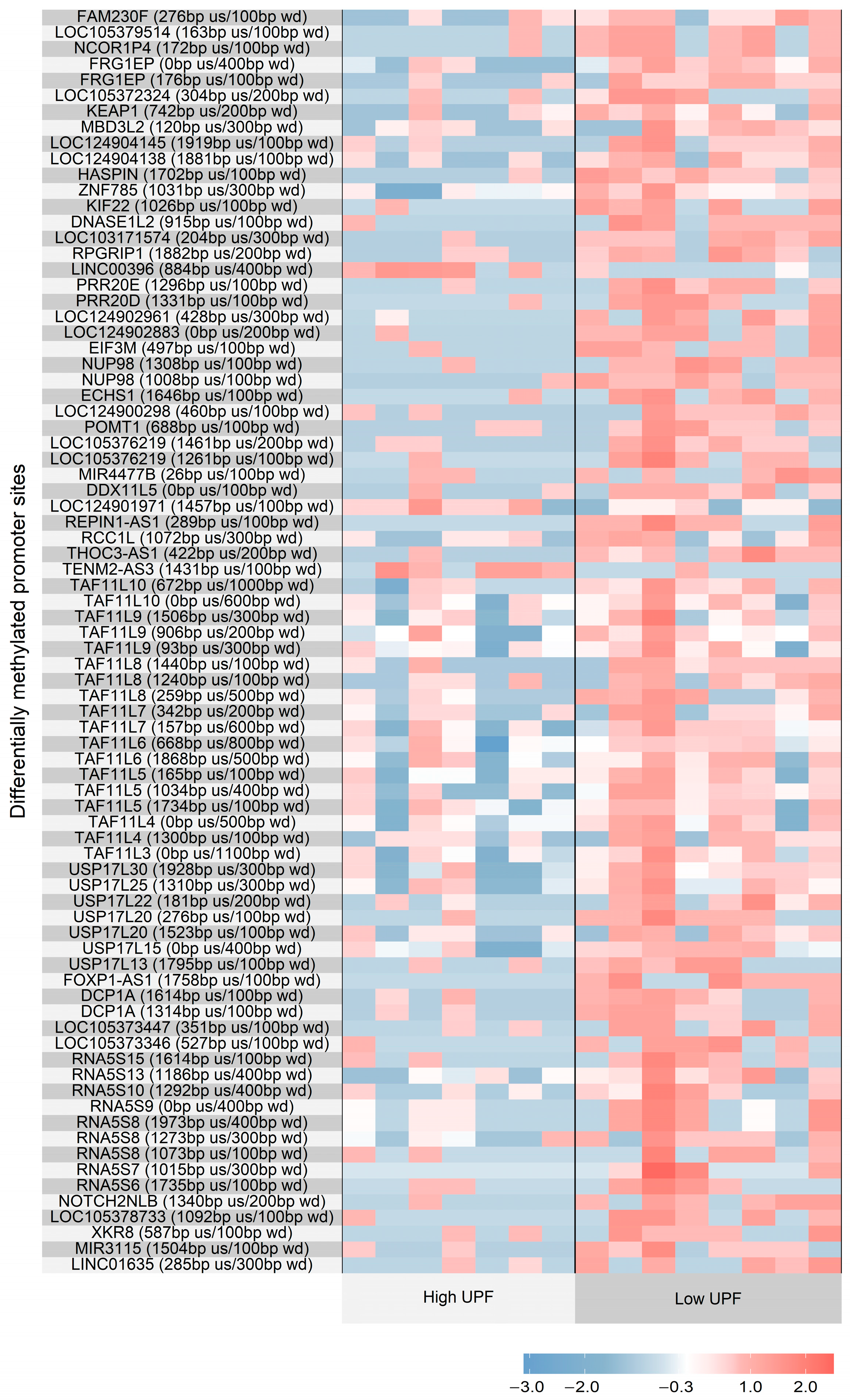 Nutrients 17 03465 g001 Nutrients 17 03465 g001