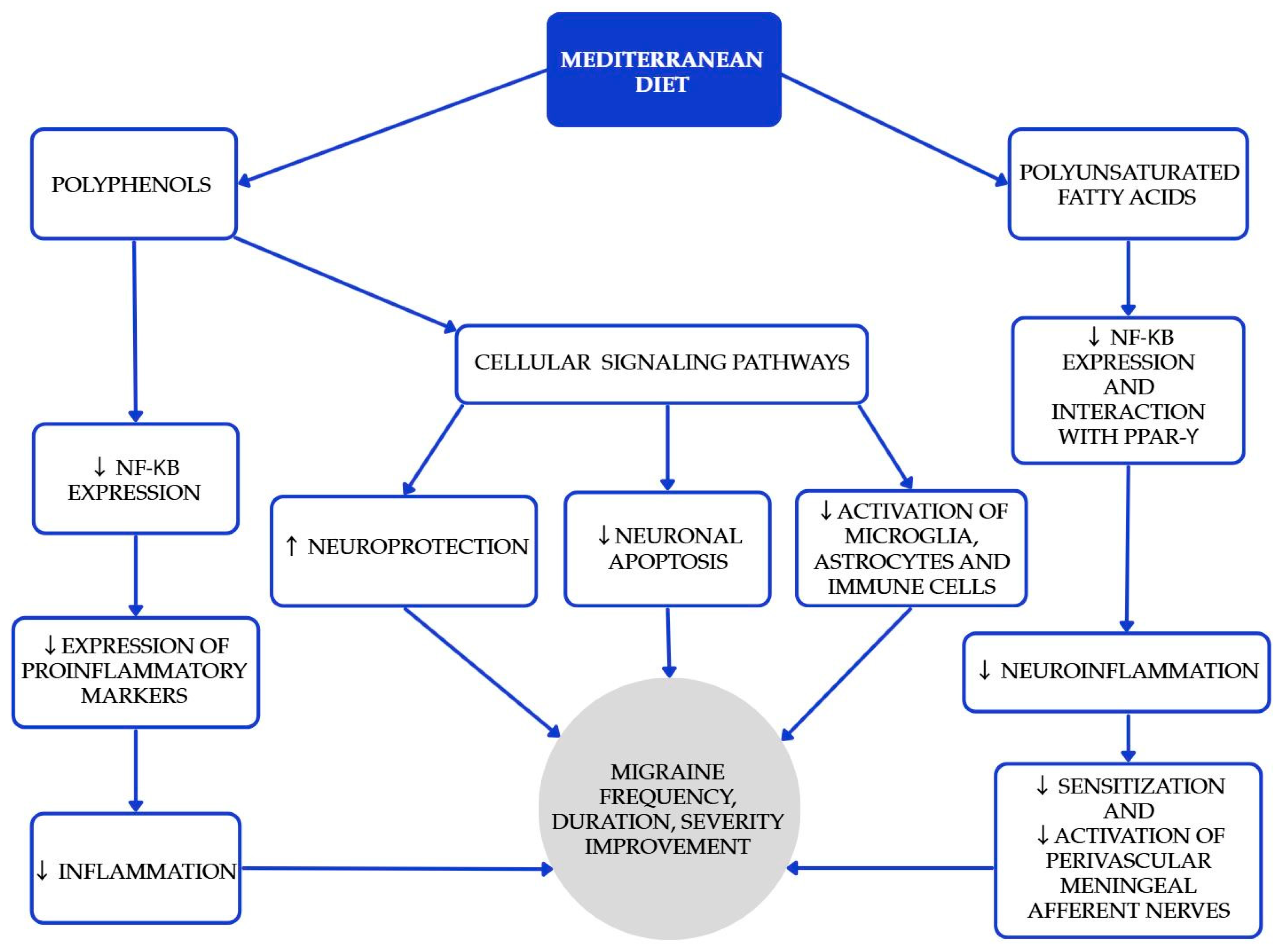 Nutrients 17 03471 g001