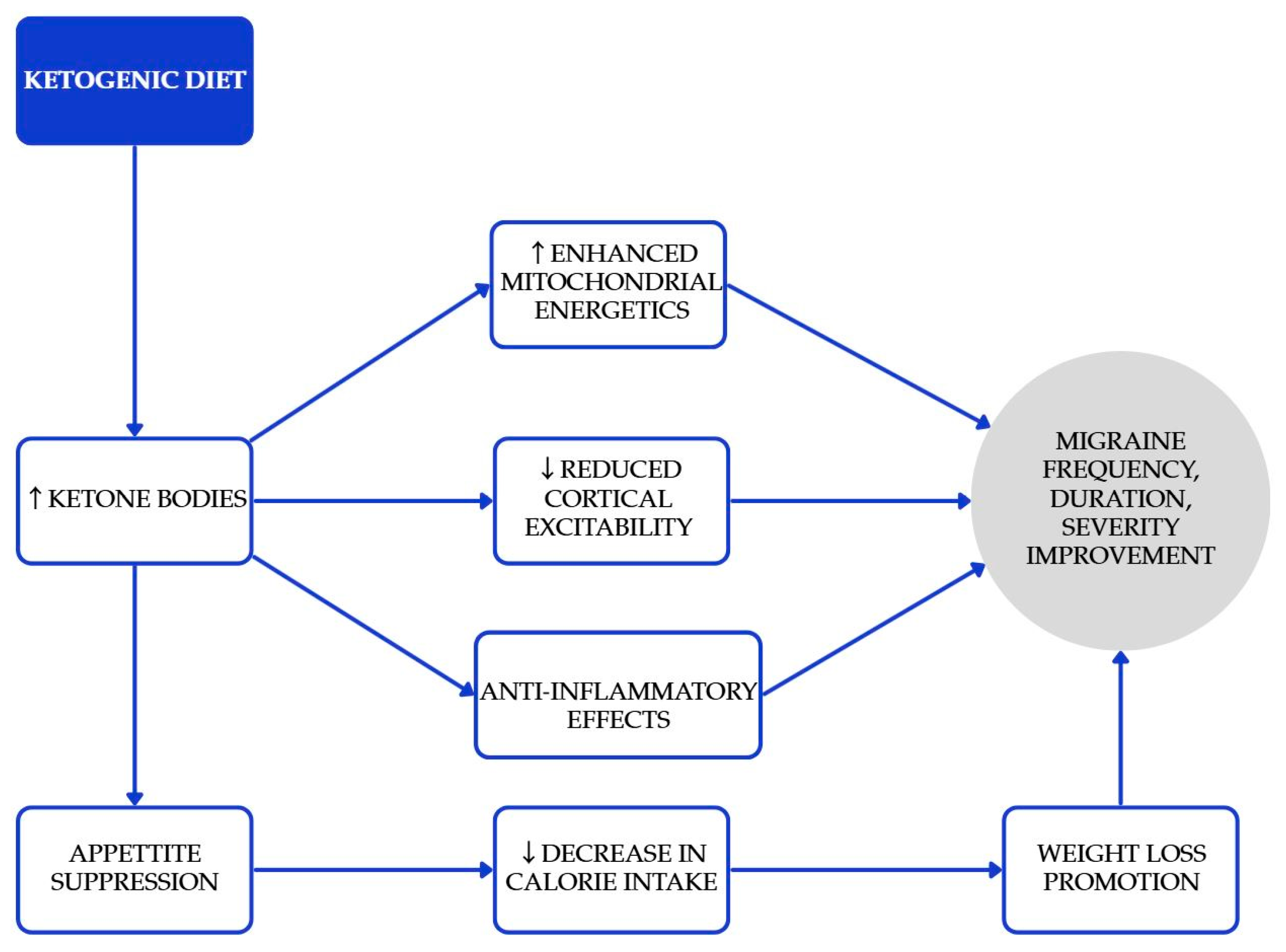 Nutrients 17 03471 g002