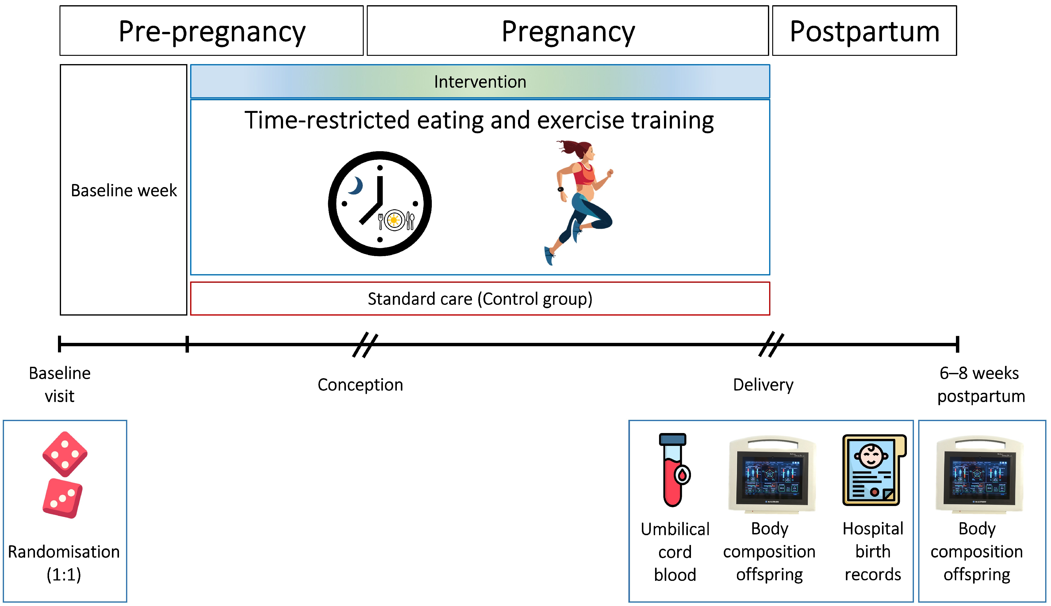 Nutrients 17 03492 g001 Nutrients 17 03492 g001