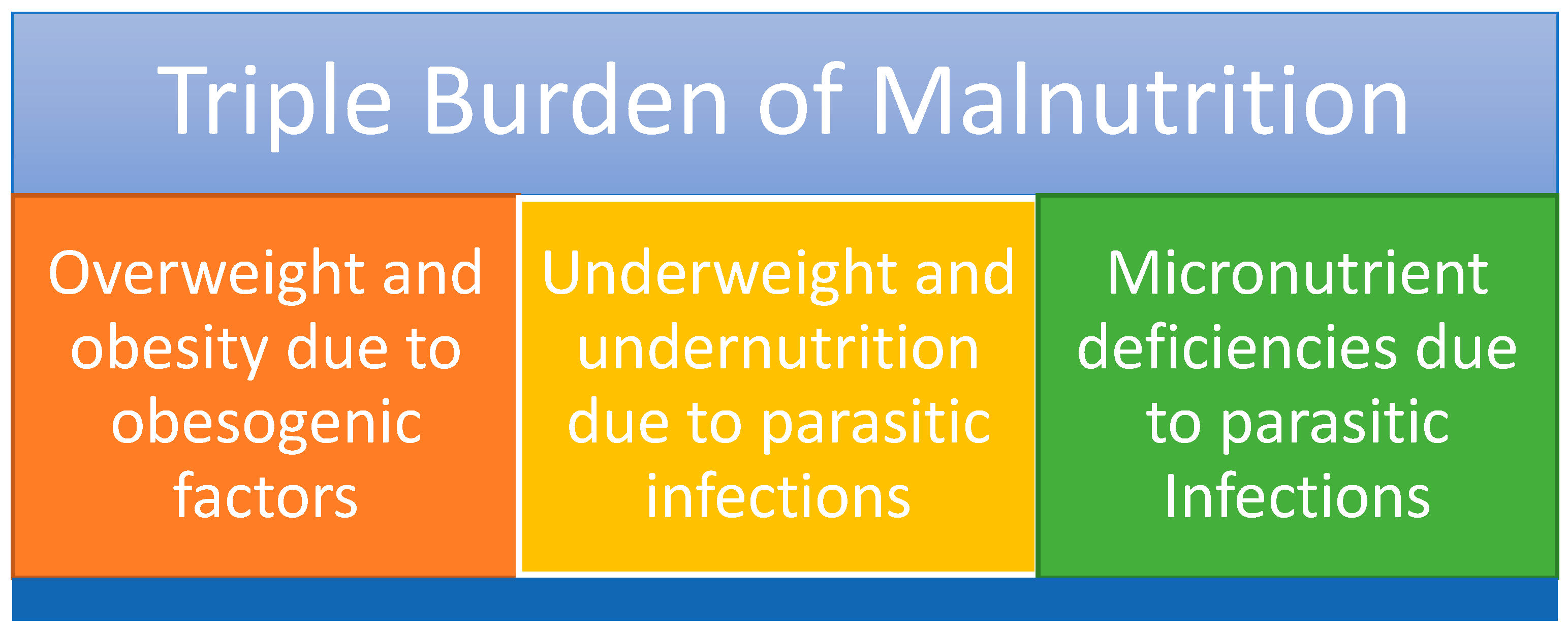 Nutrients 17 03494 g001