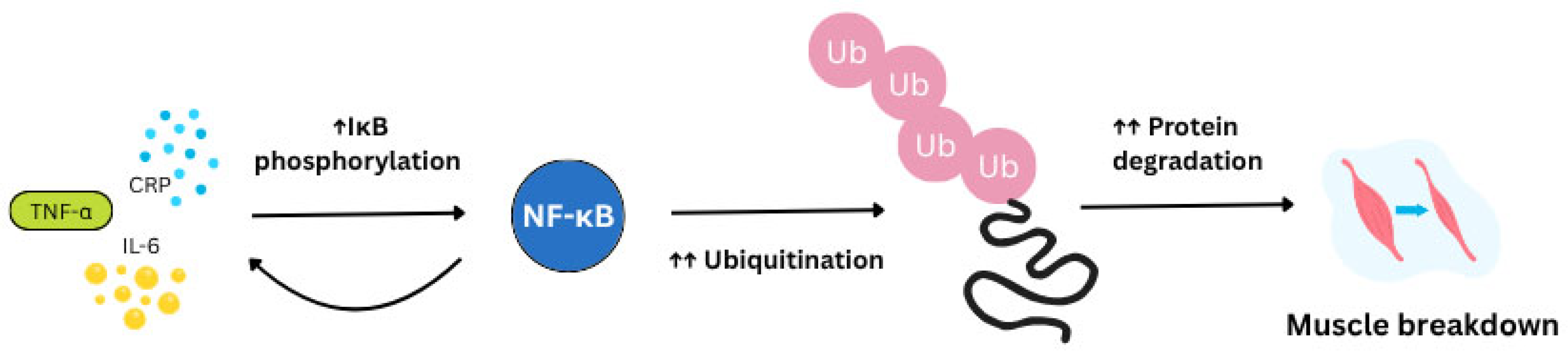 Nutrients 17 03495 g001
