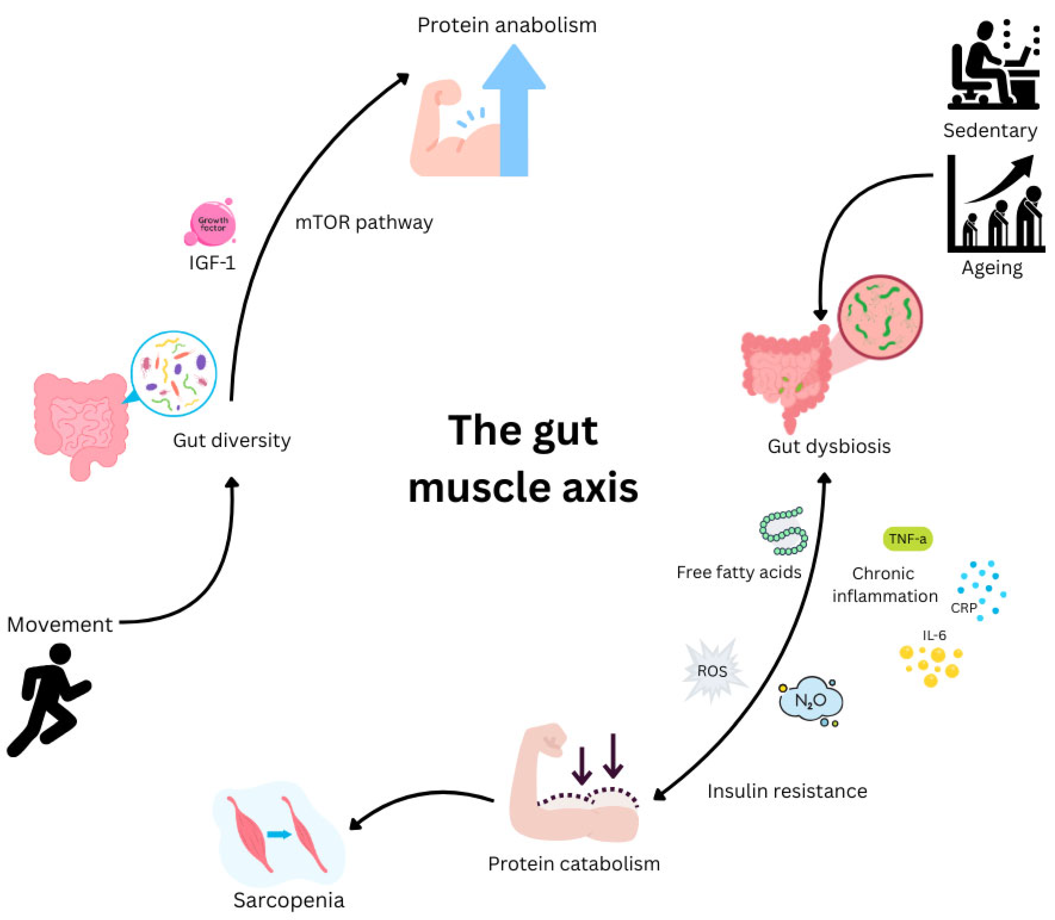Nutrients 17 03495 g002