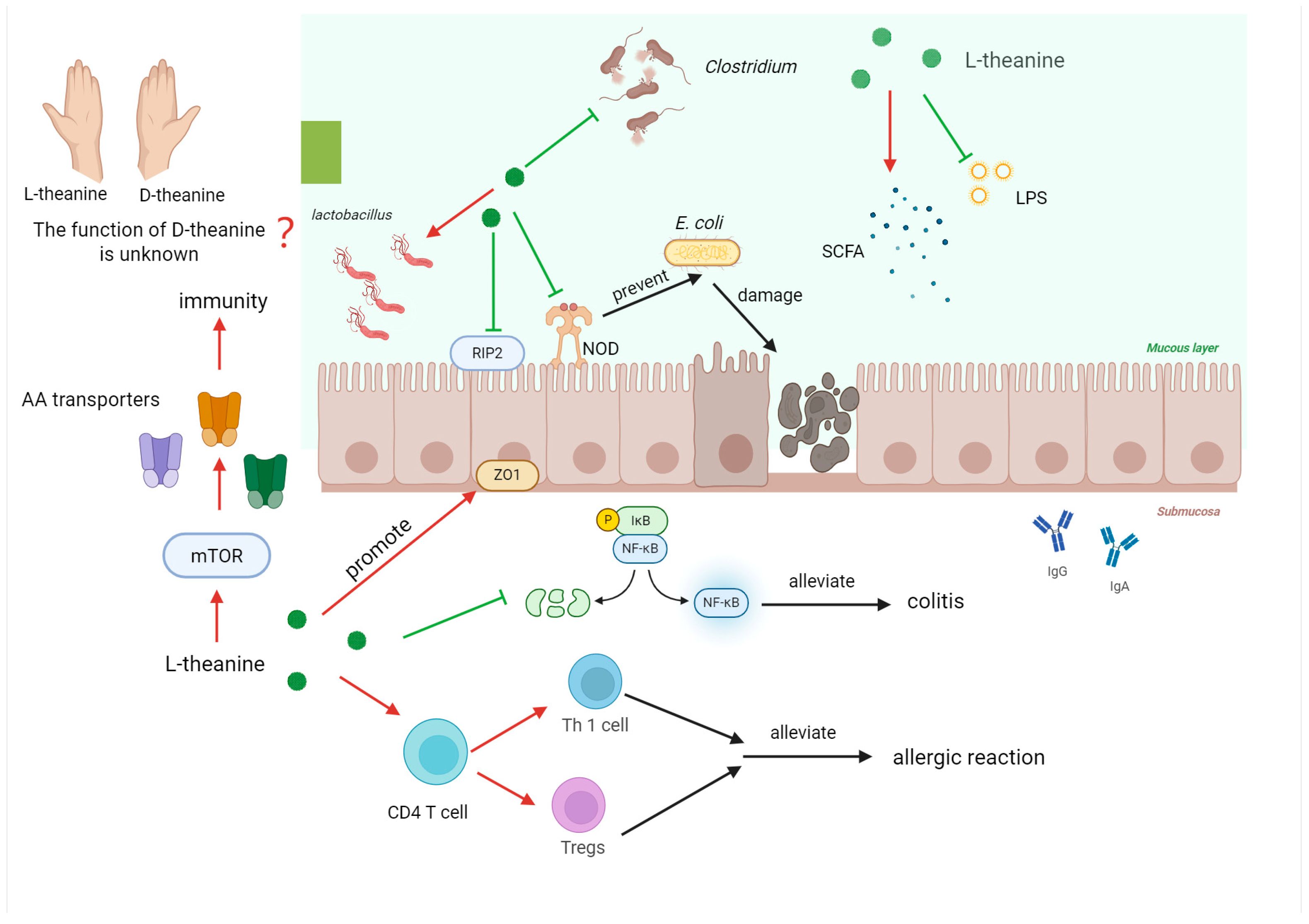 Nutrients 17 03496 g005