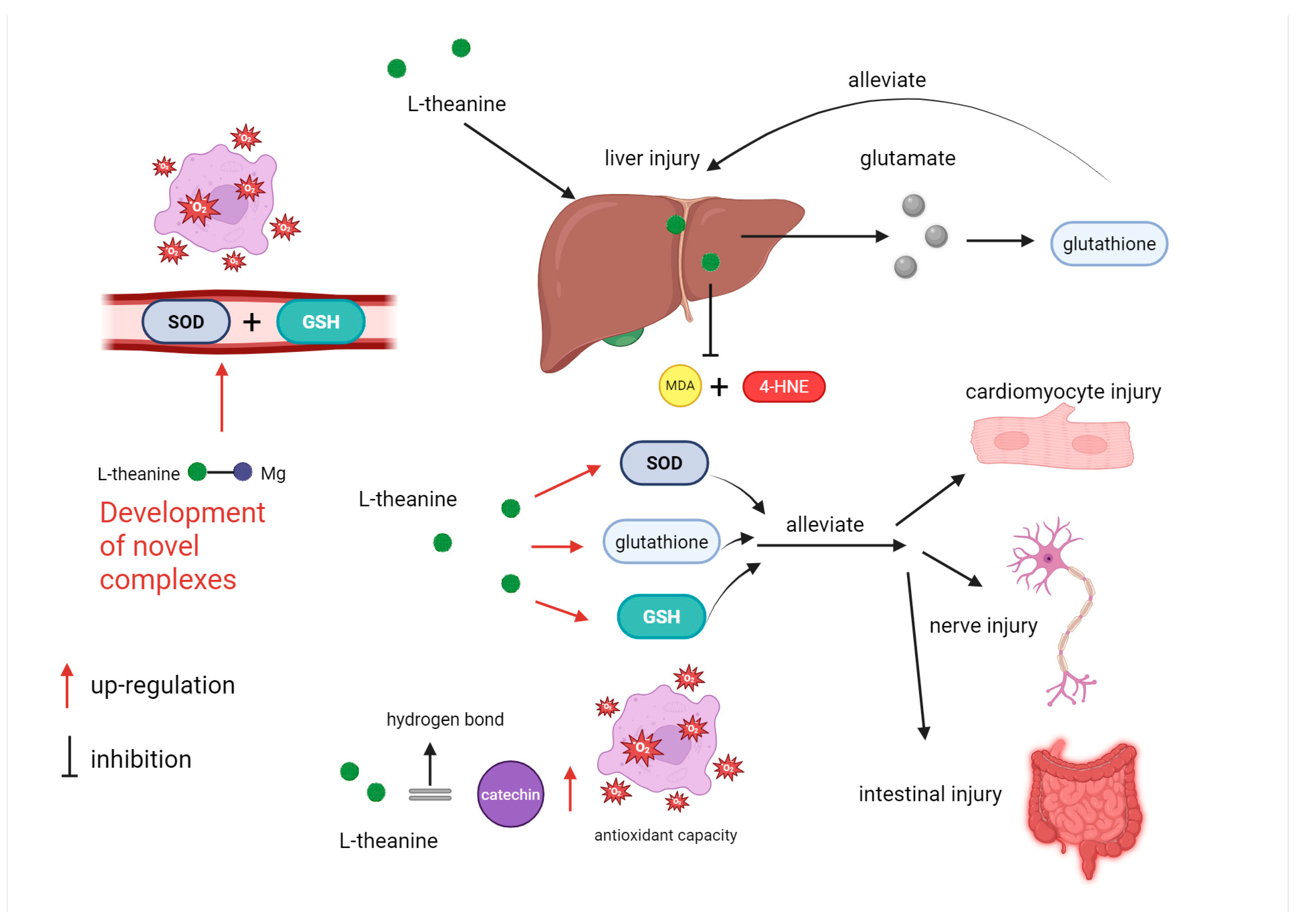 Nutrients 17 03496 g006