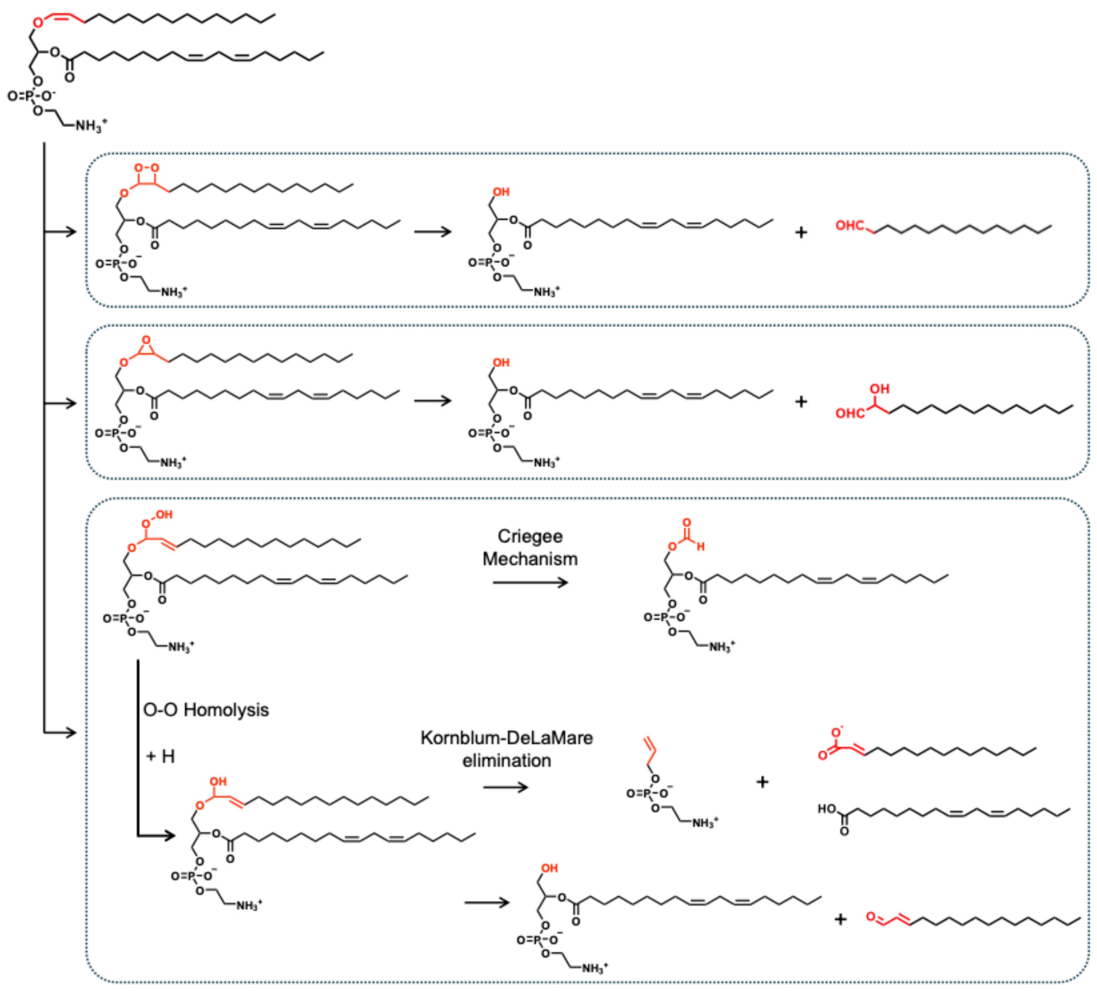 Nutrients 17 03497 g002 Nutrients 17 03497 g002