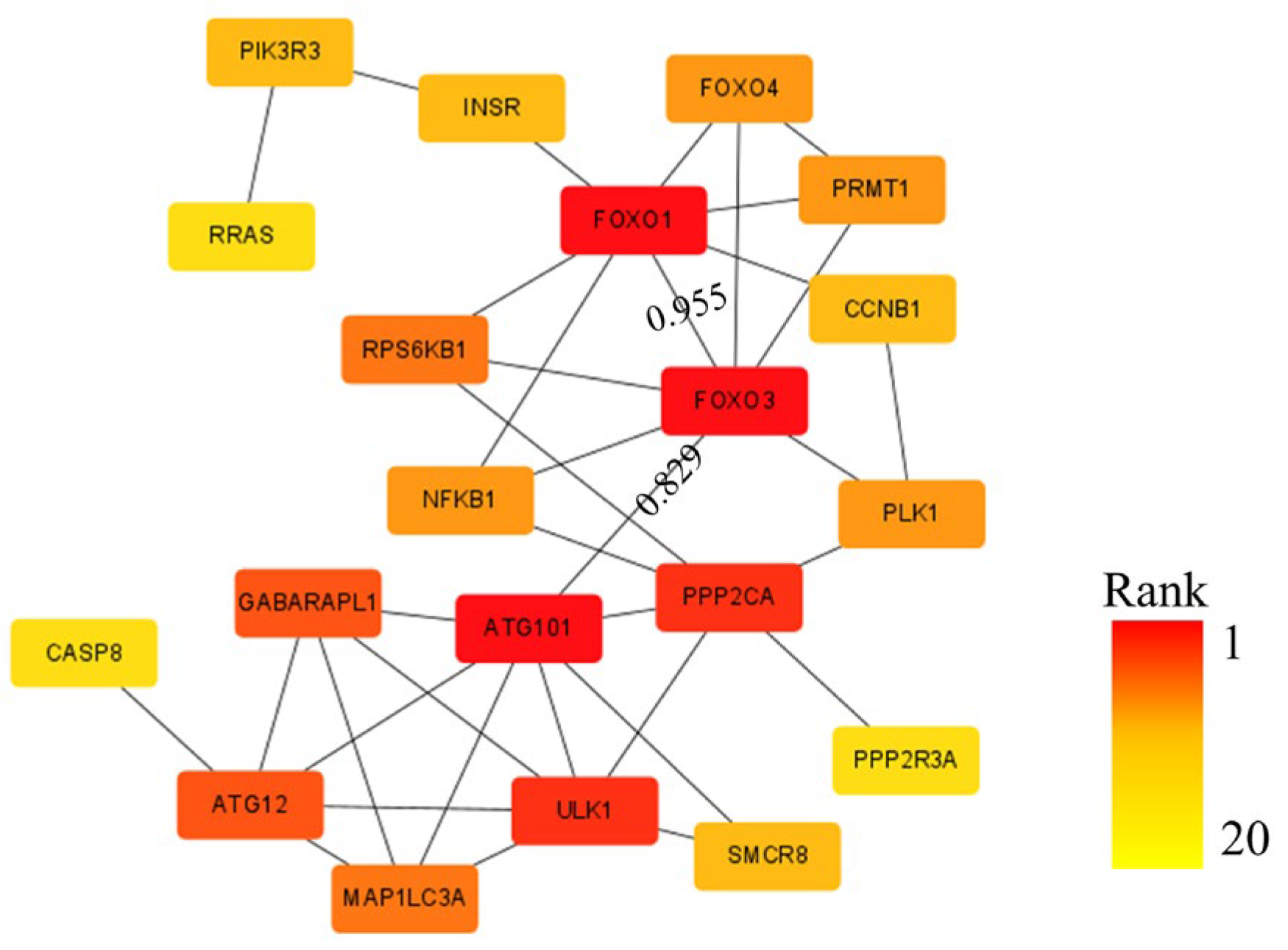 Nutrients 17 03498 g003 Nutrients 17 03498 g003