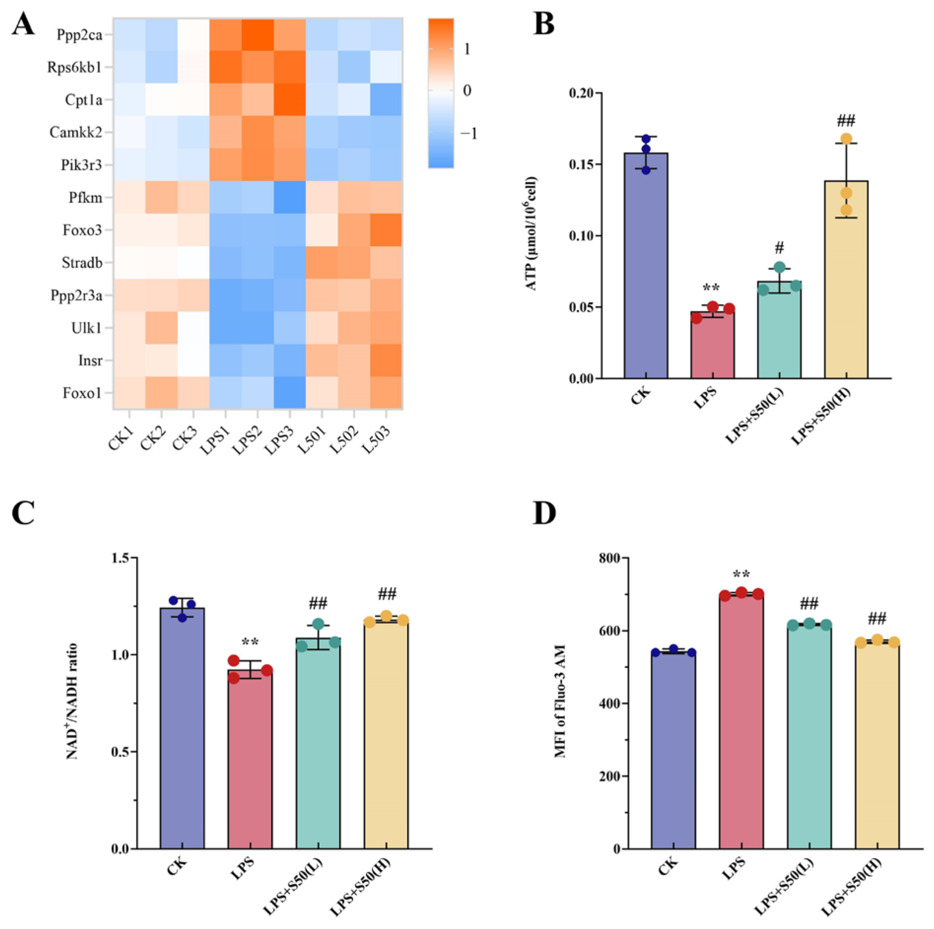 Nutrients 17 03498 g004 Nutrients 17 03498 g004