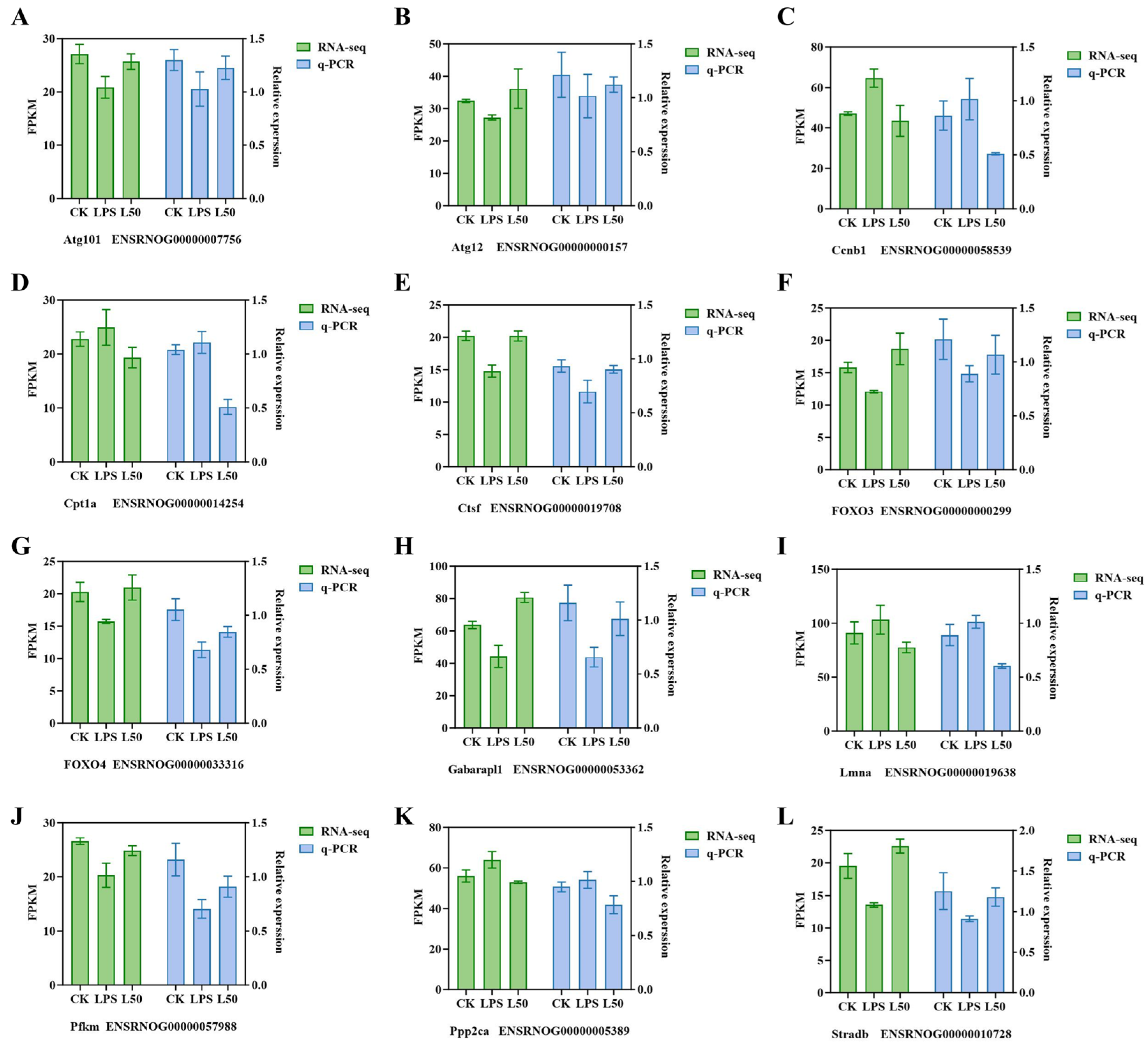 Nutrients 17 03498 g006 Nutrients 17 03498 g006