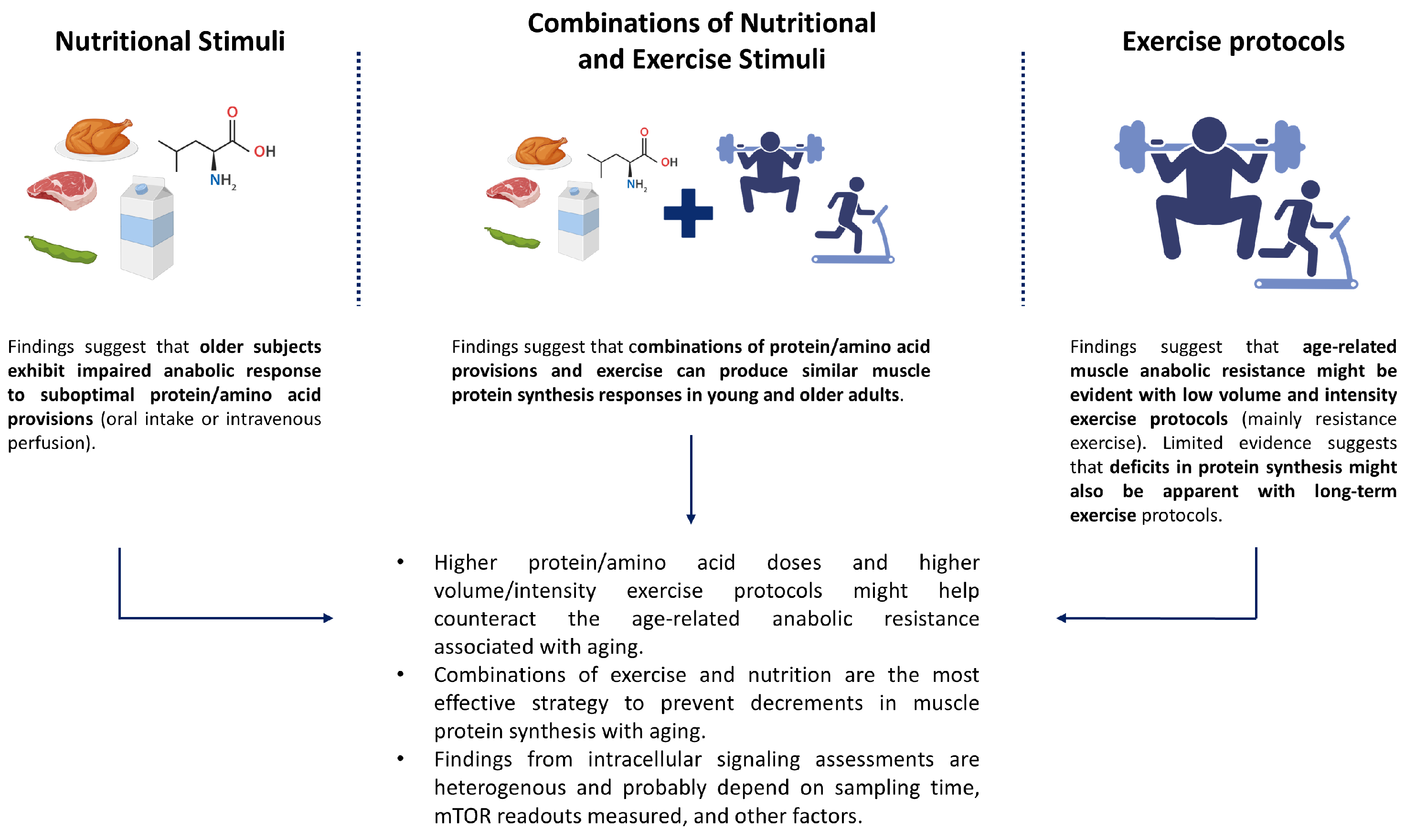 Nutrients 17 03503 g001 Nutrients 17 03503 g001