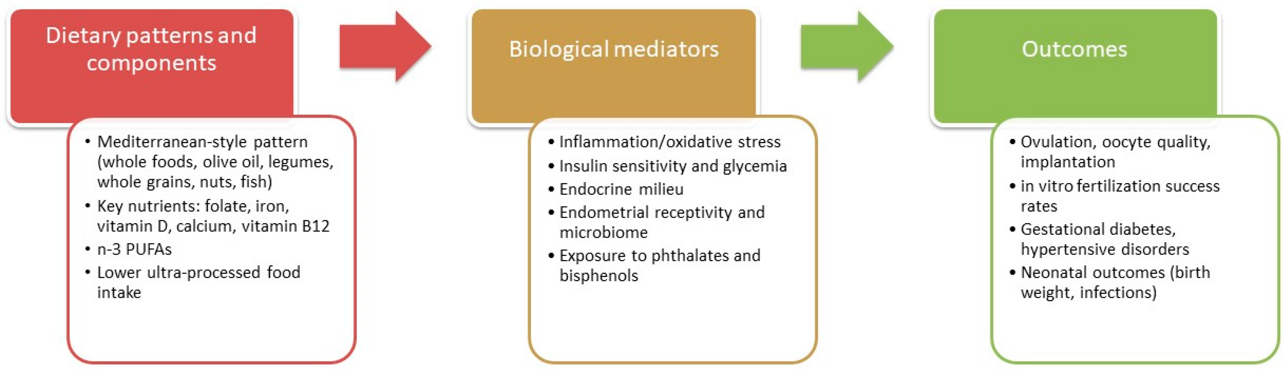 Nutrients 17 03505 g001