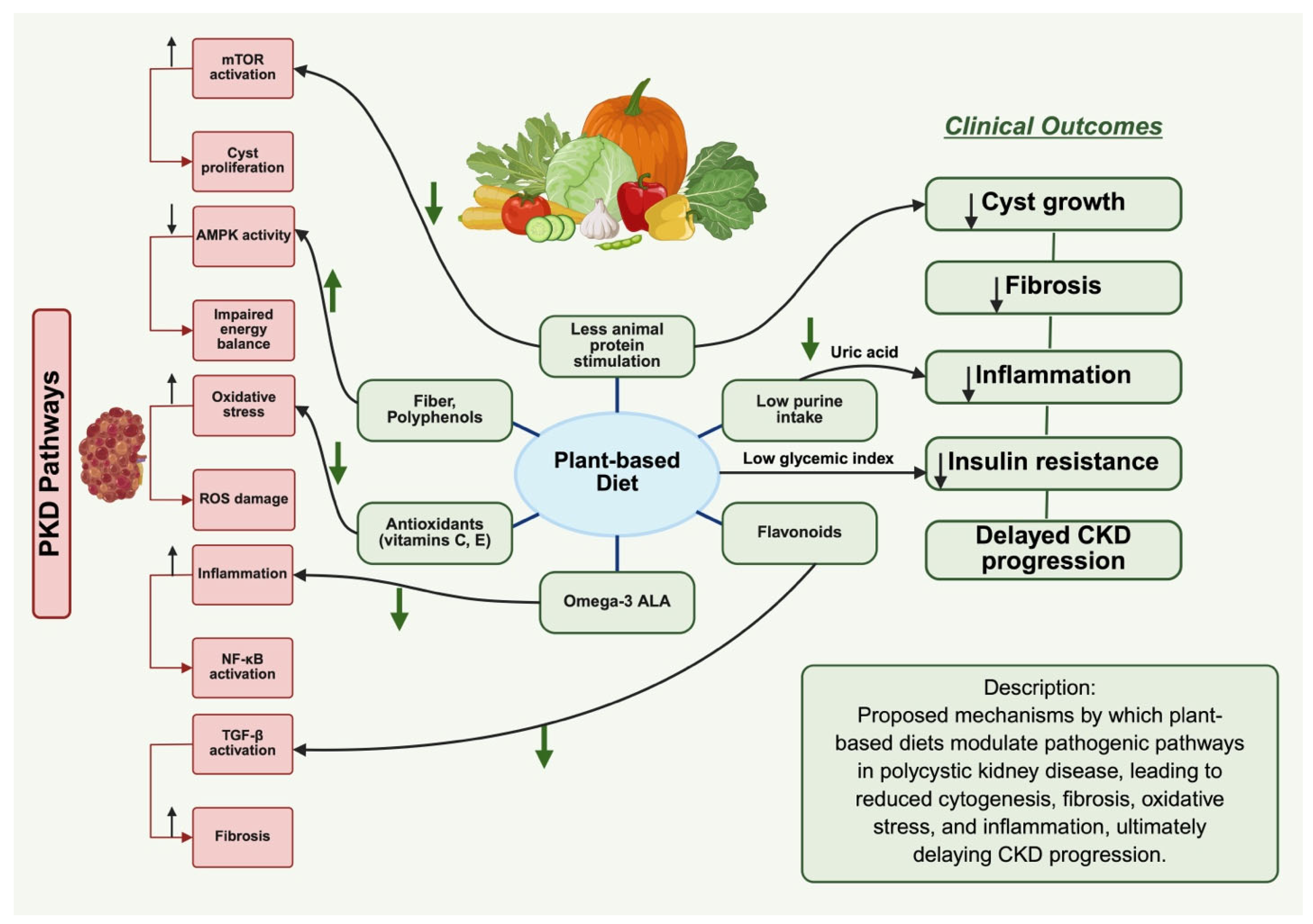 Nutrients 17 03518 g001