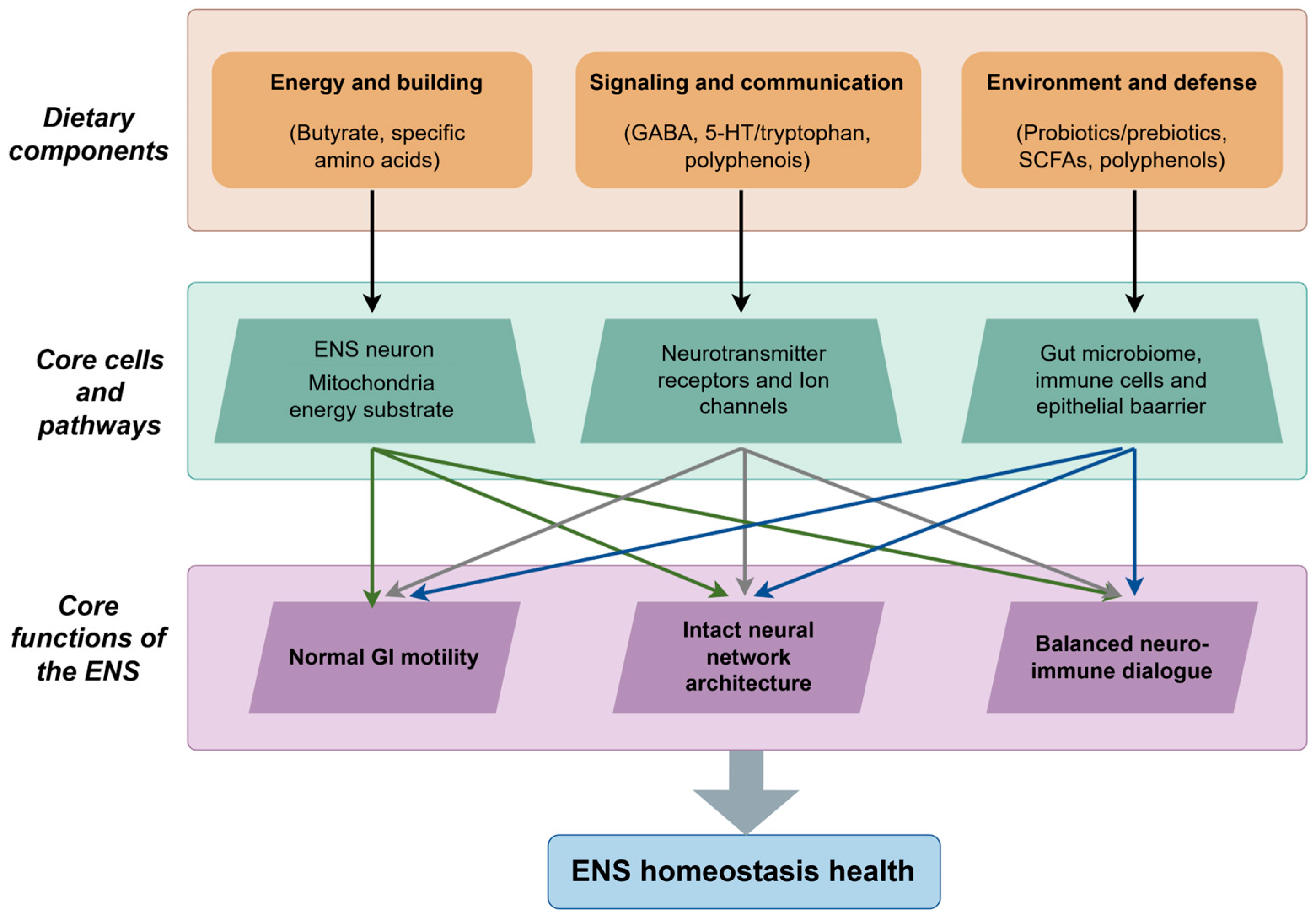 Nutrients 17 03519 g002
