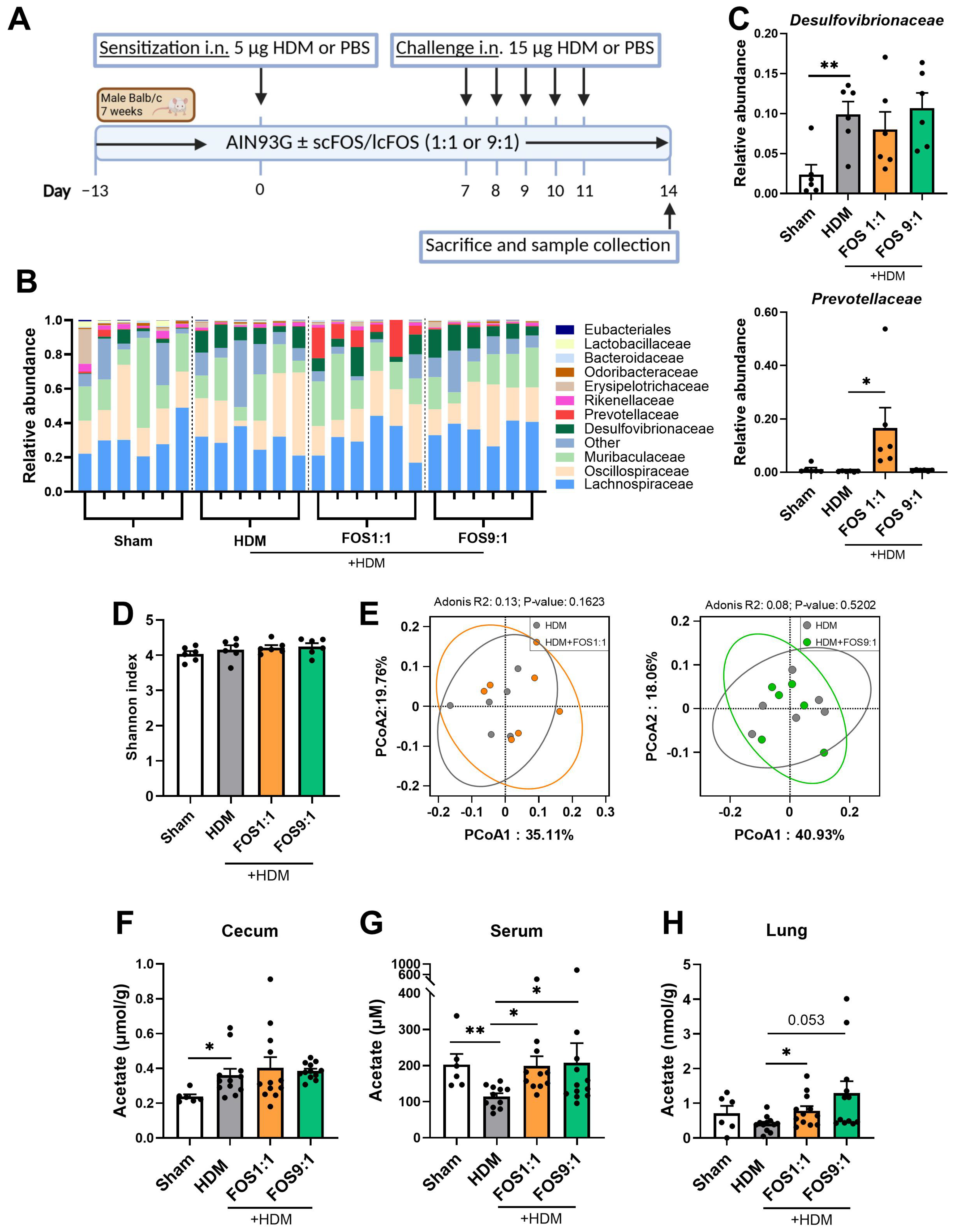 Nutrients 17 03520 g001