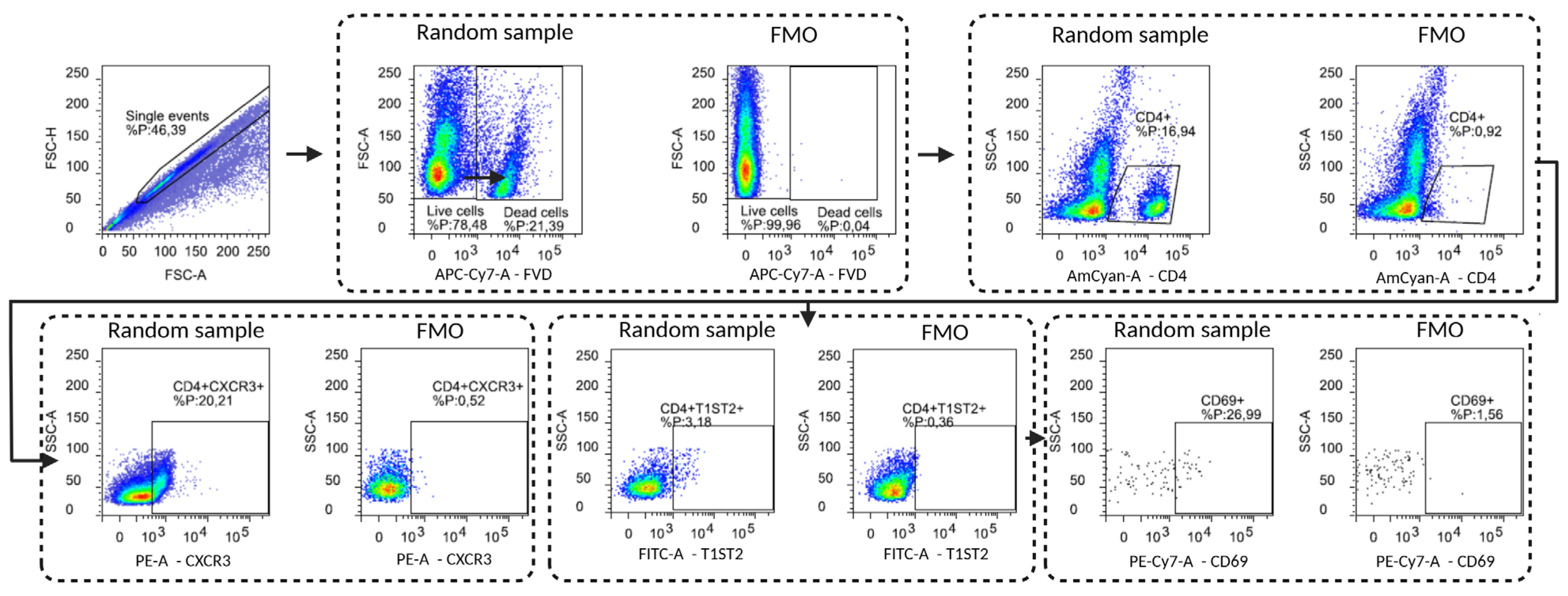 Nutrients 17 03520 g0a6