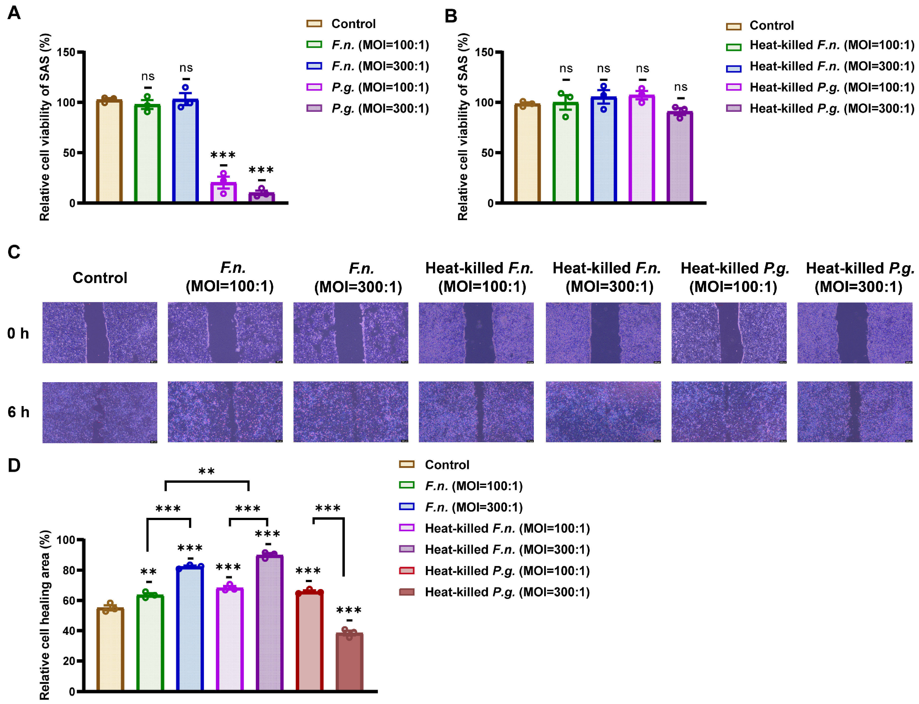 Nutrients 17 03522 g001