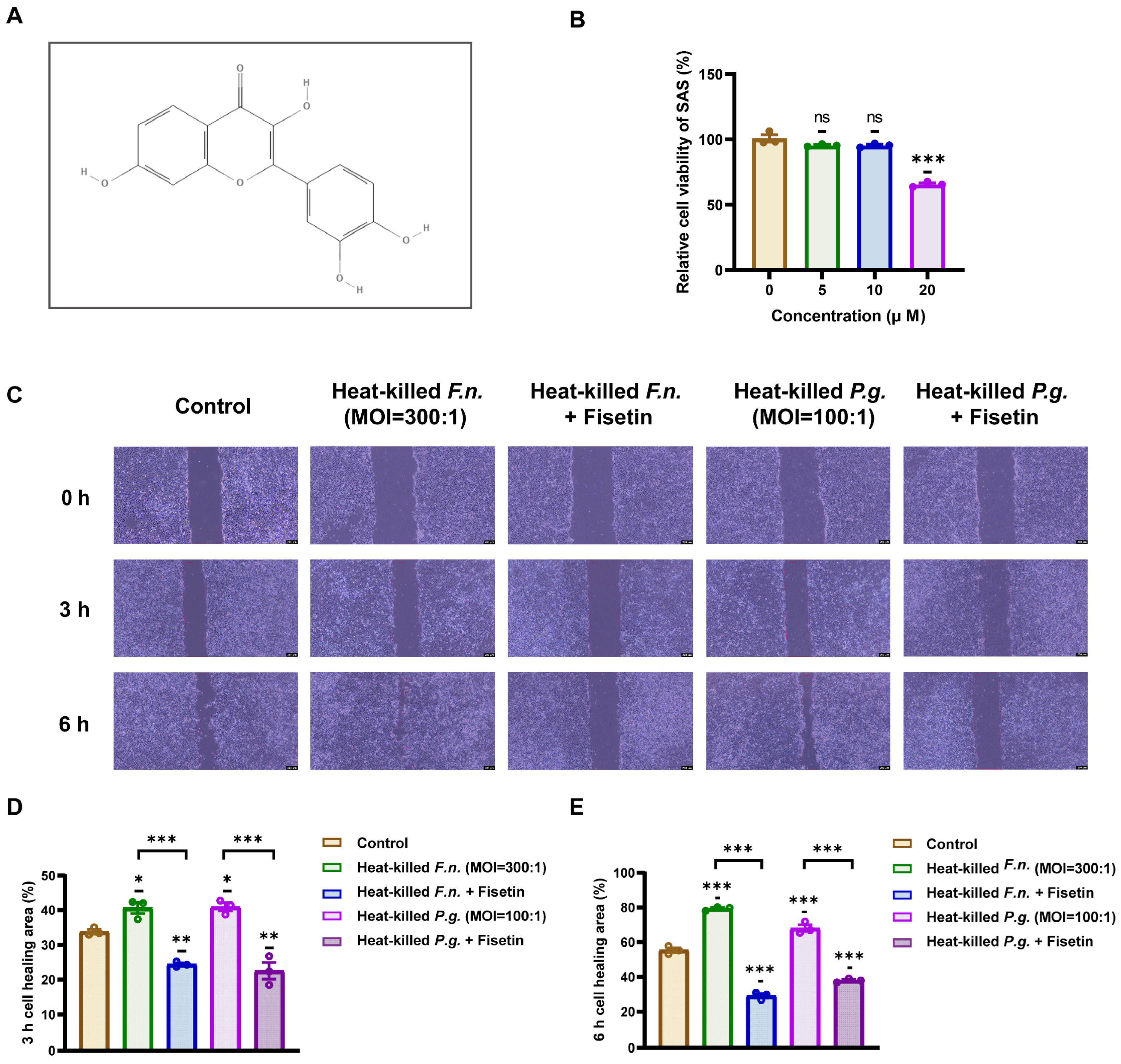 Nutrients 17 03522 g002