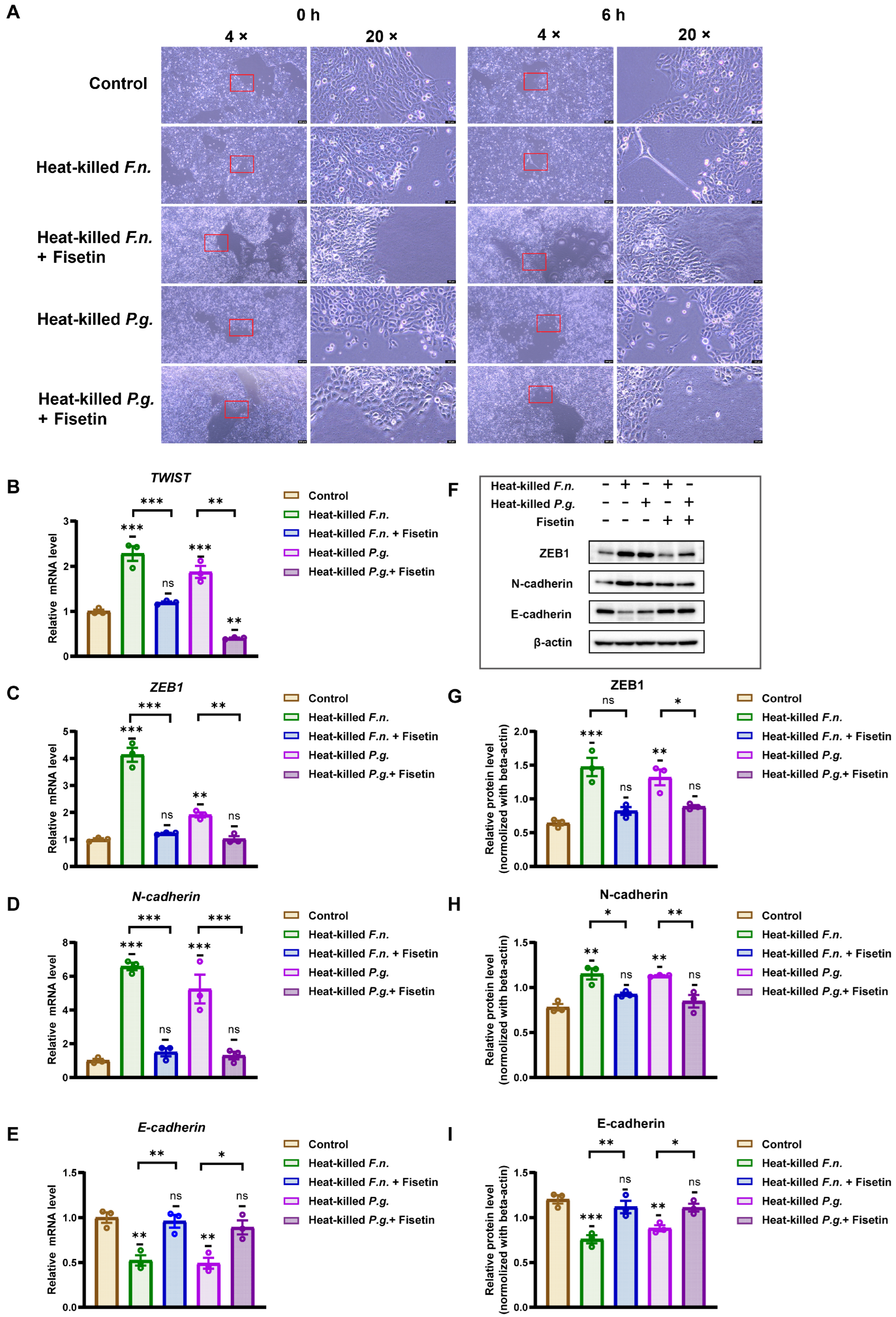 Nutrients 17 03522 g003