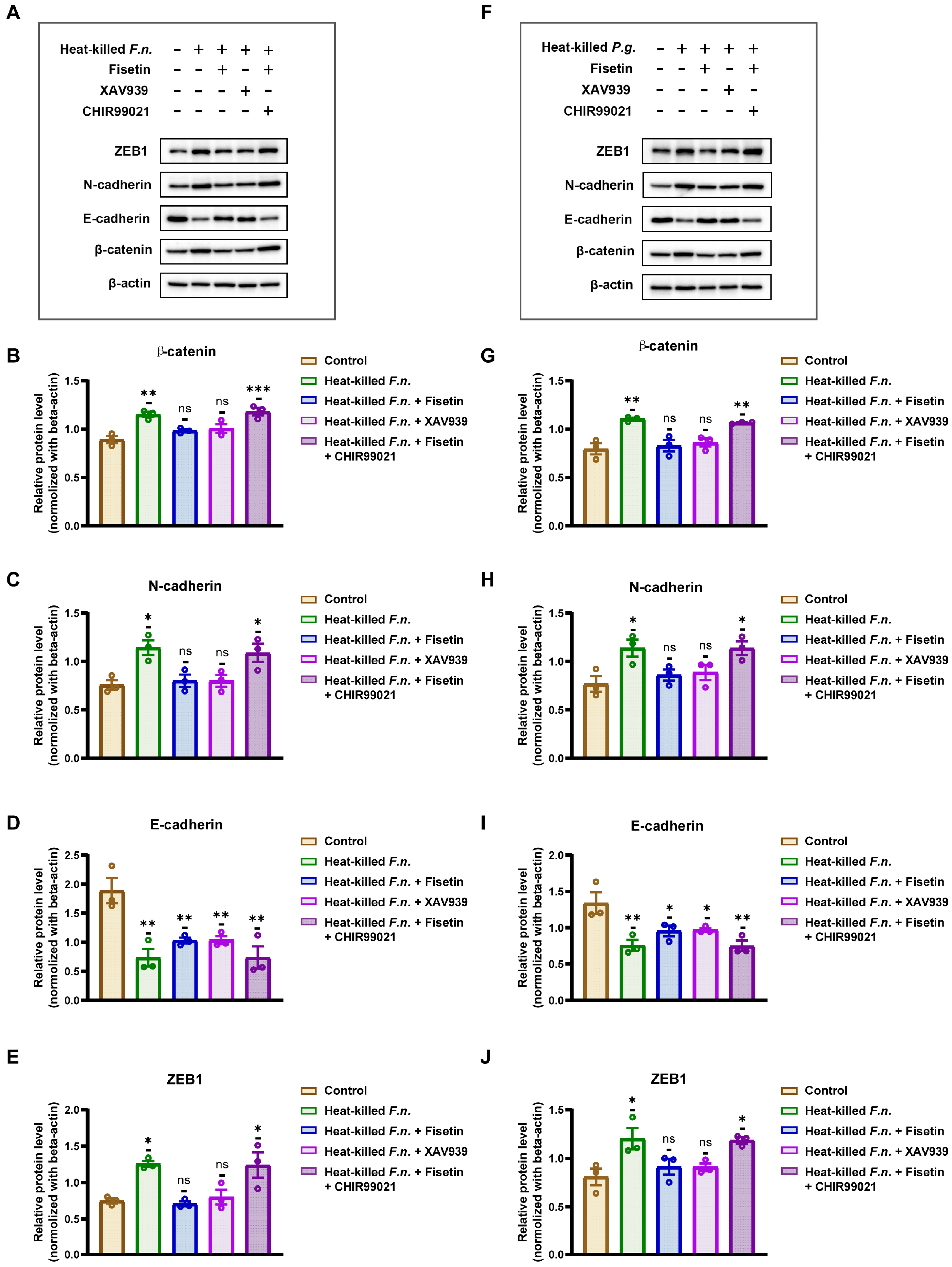 Nutrients 17 03522 g004