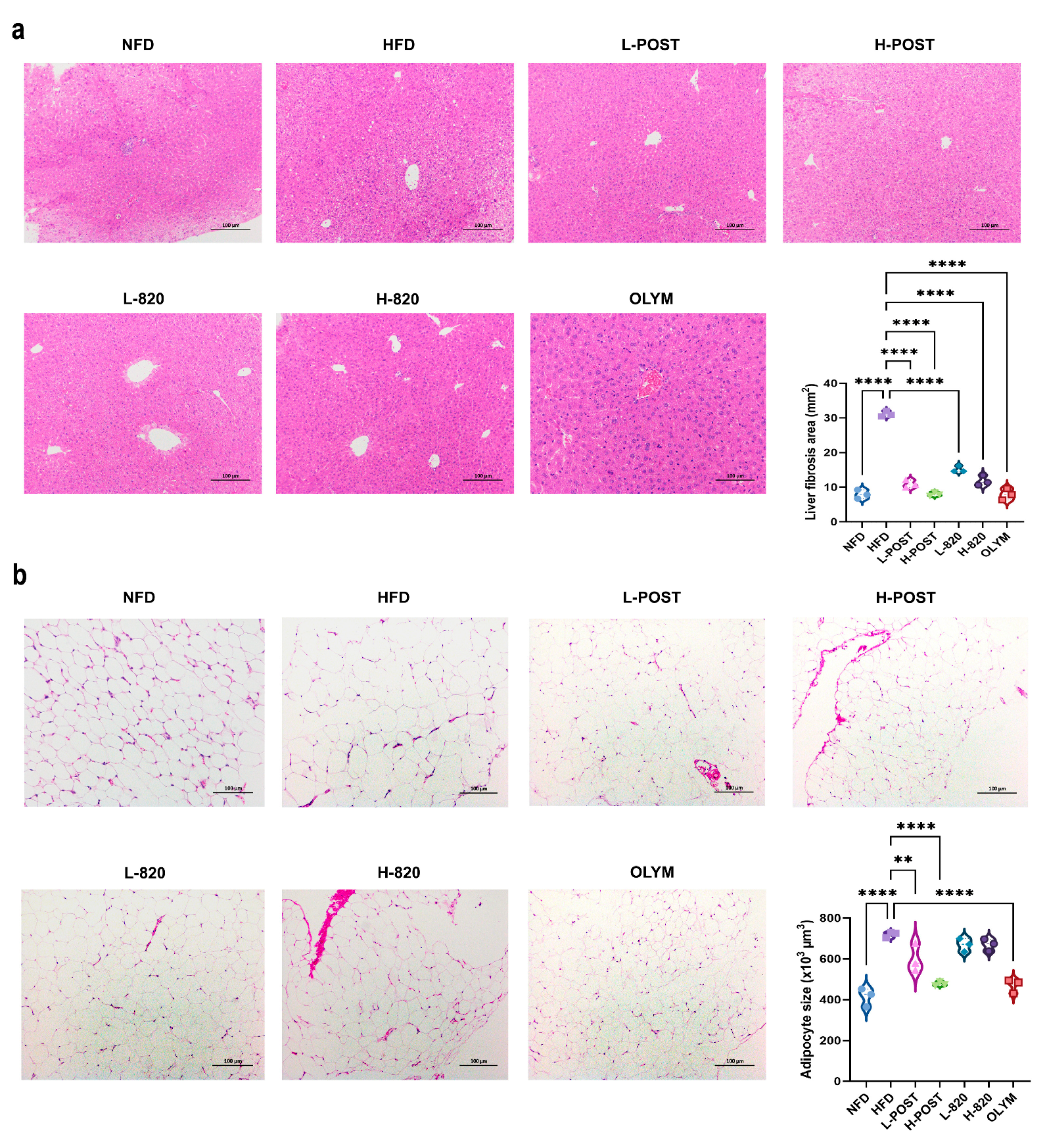 Nutrients 17 03525 g004
