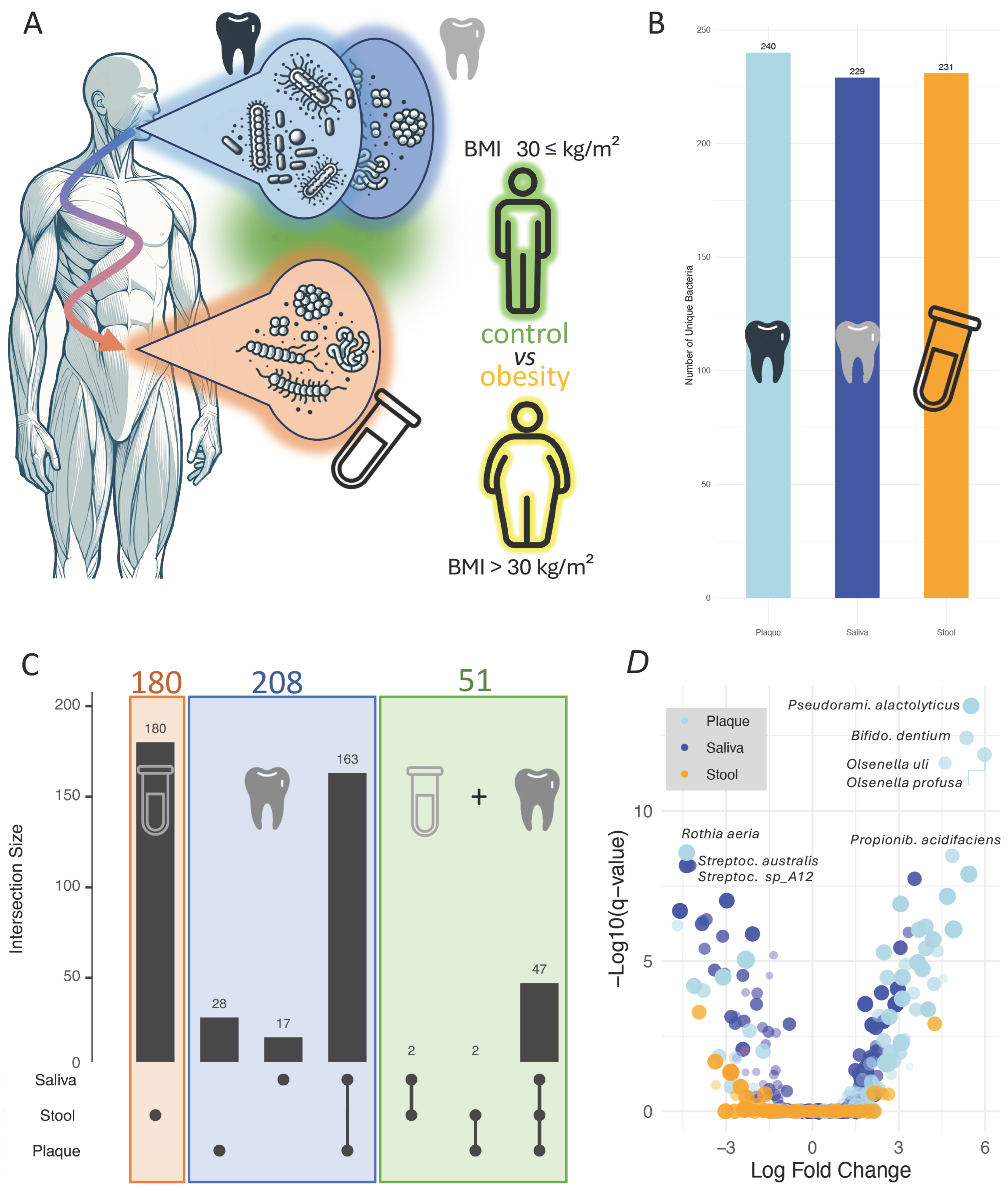 Nutrients 17 03527 g001