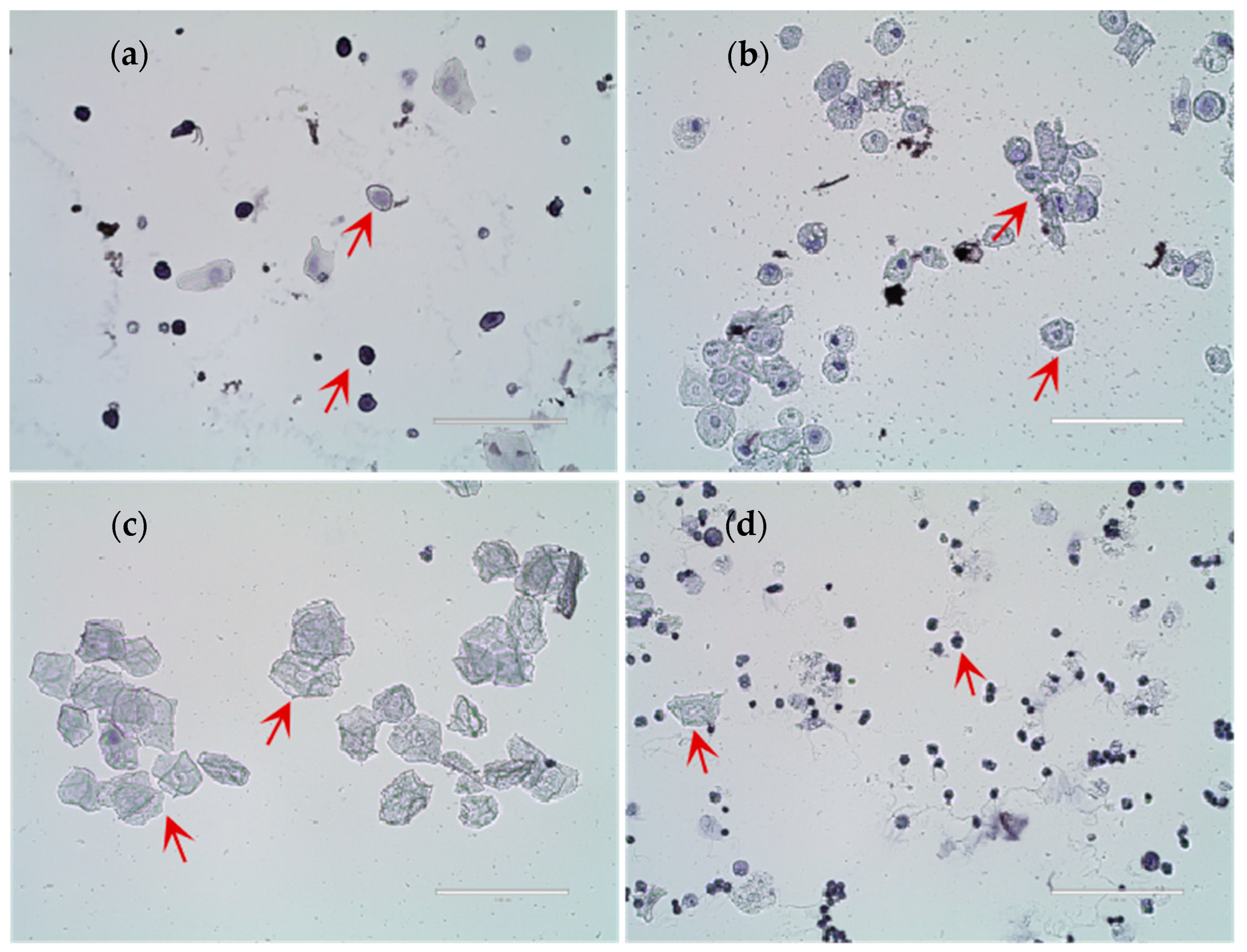 Nutrients 17 03534 g001