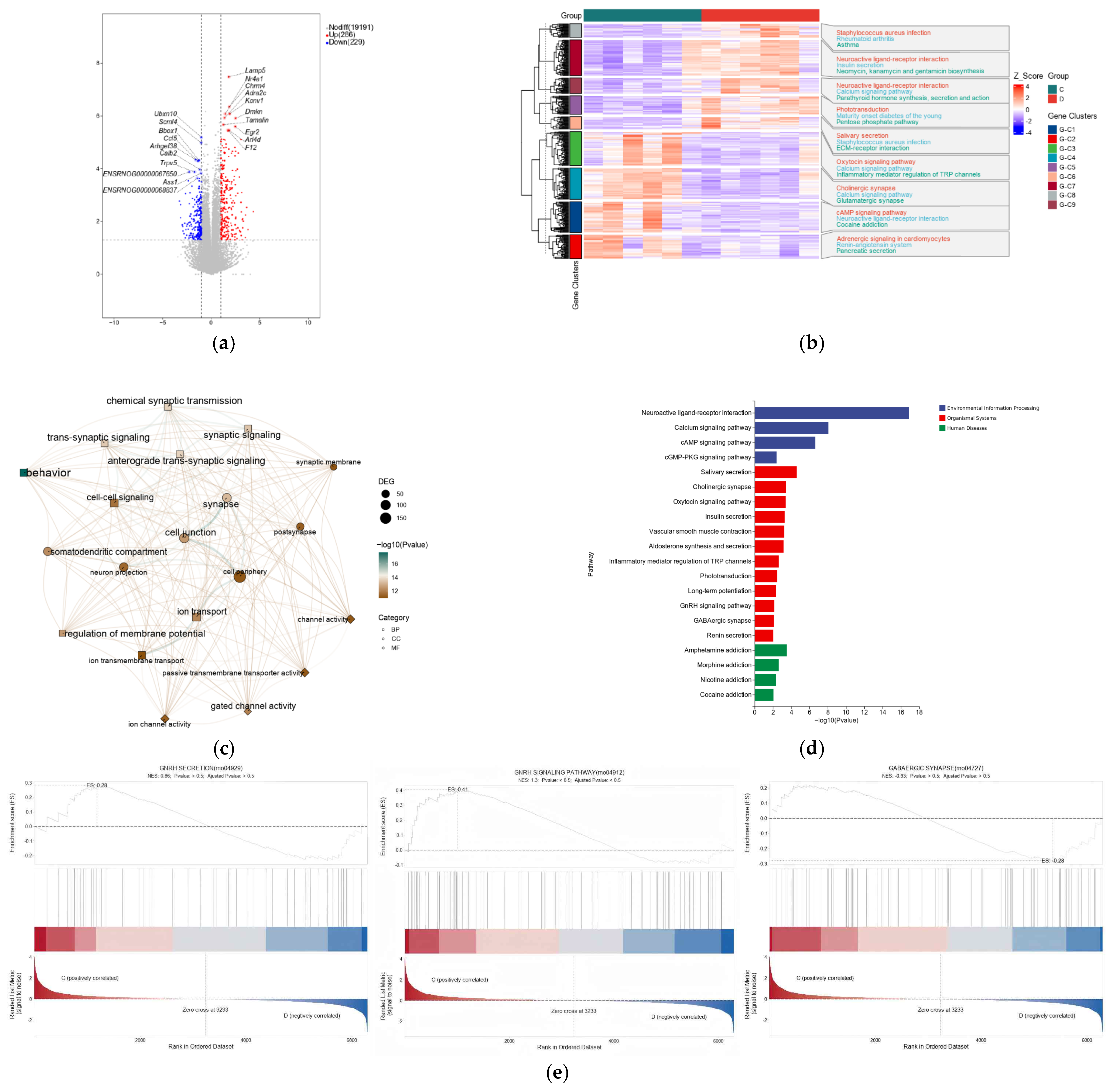 Nutrients 17 03534 g004