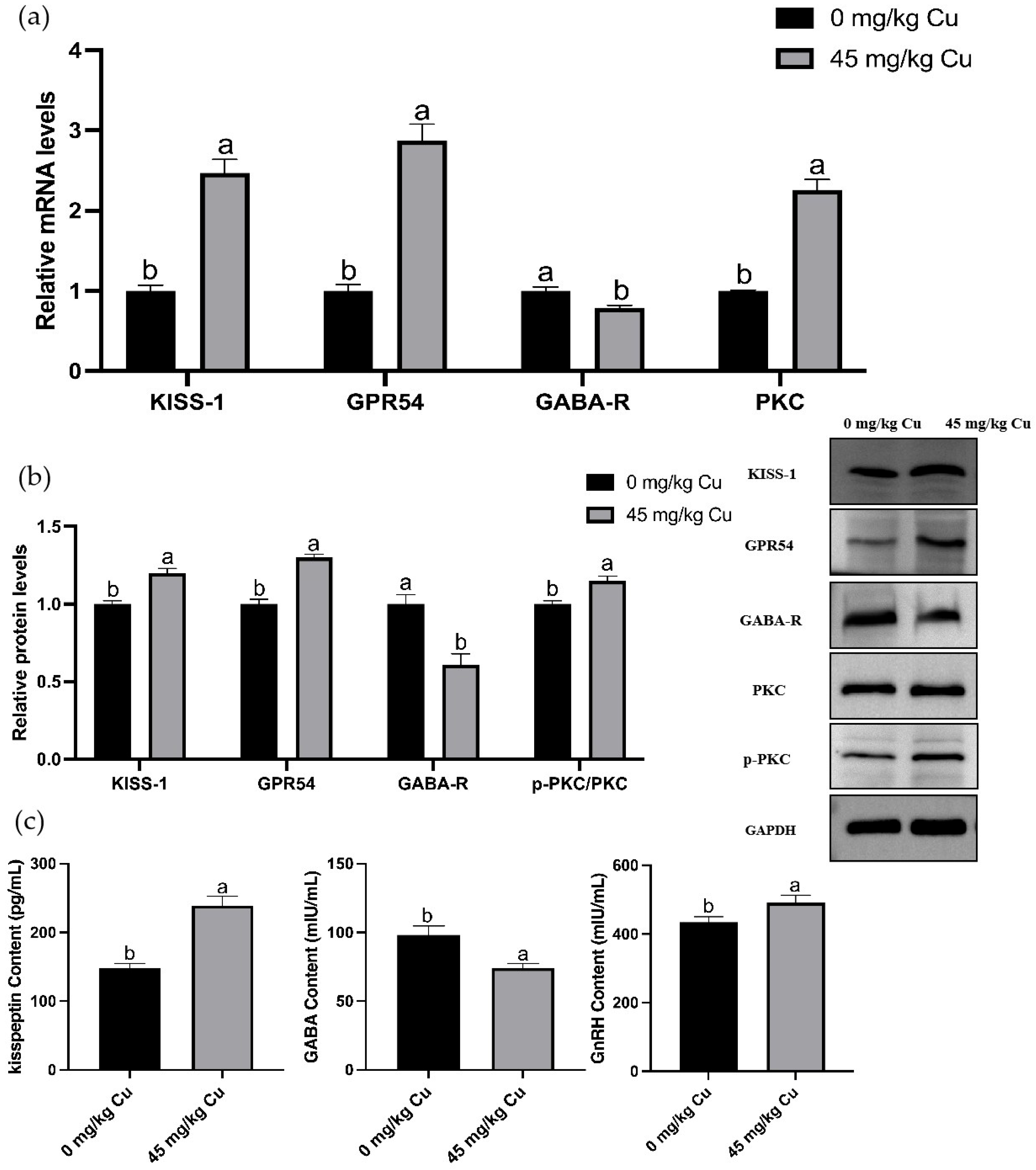 Nutrients 17 03534 g005