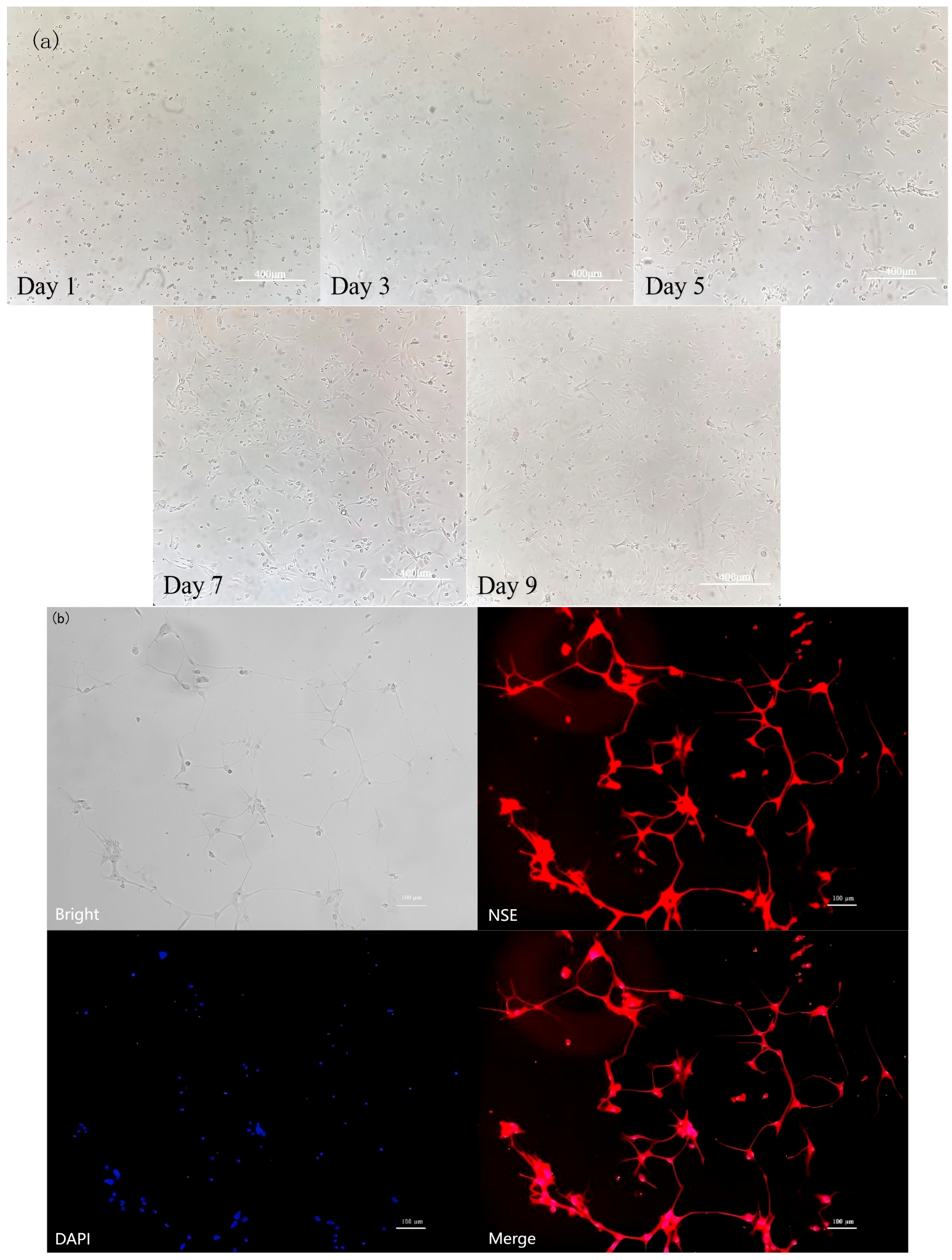 Nutrients 17 03534 g006